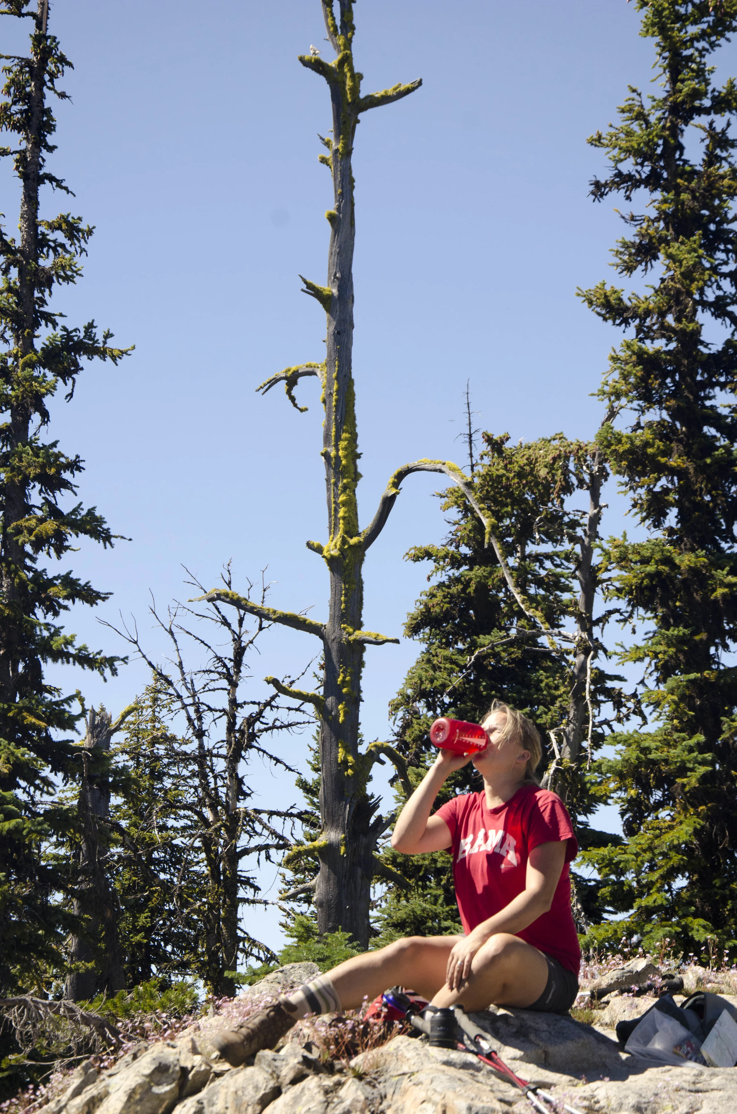 Day 31: 14 miles for vistas and flowers