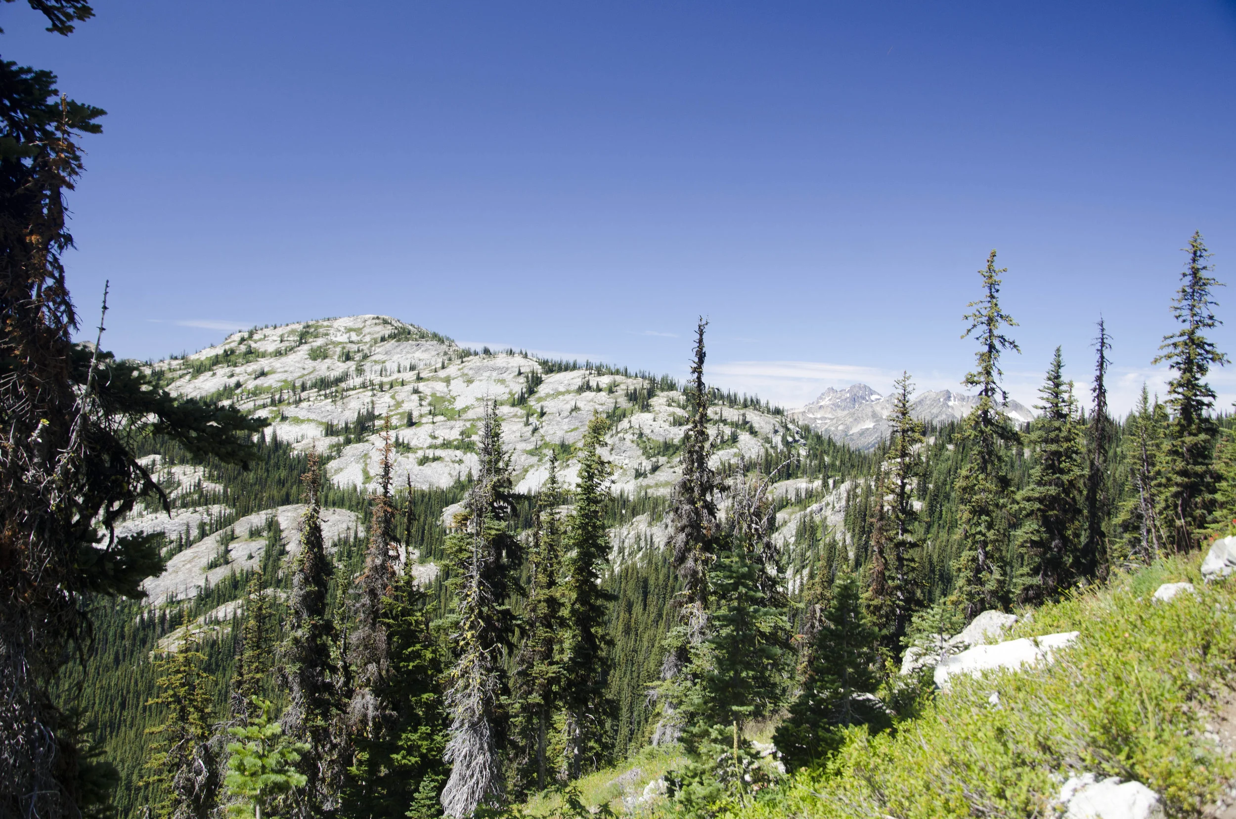 Day 31: 14 miles for vistas and flowers