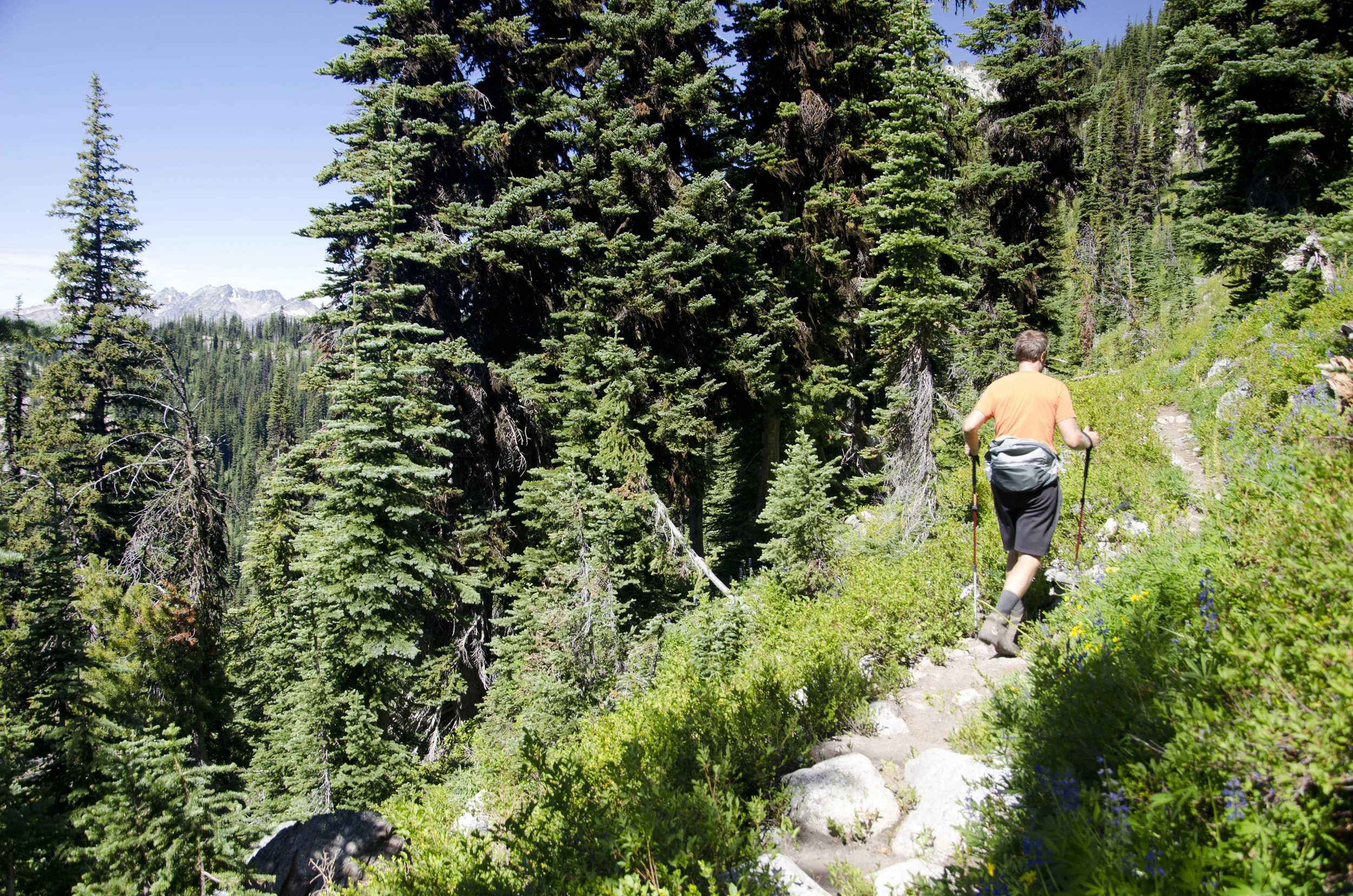 Day 31: 14 miles for vistas and flowers