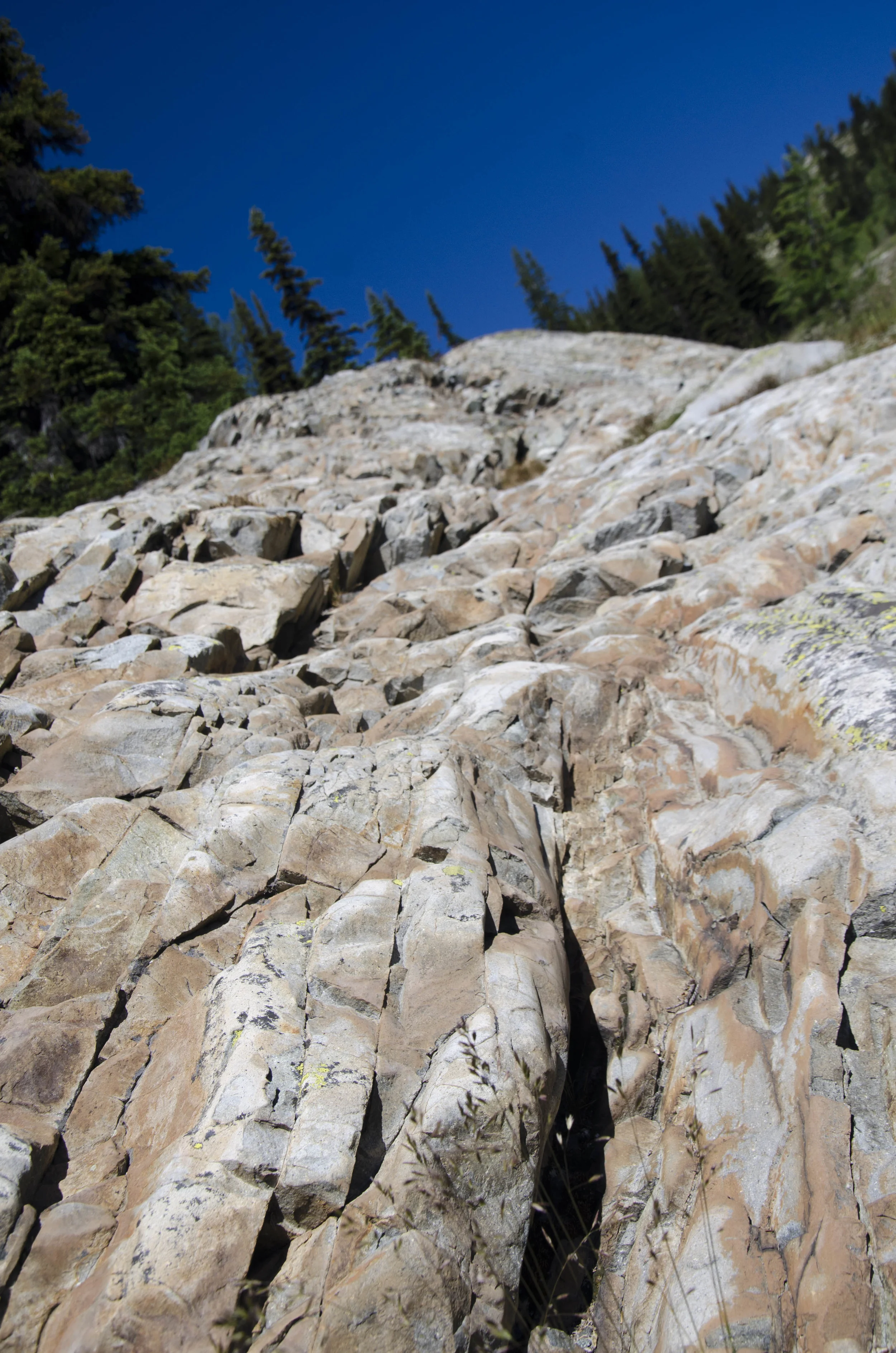 Day 31: 14 miles for vistas and flowers