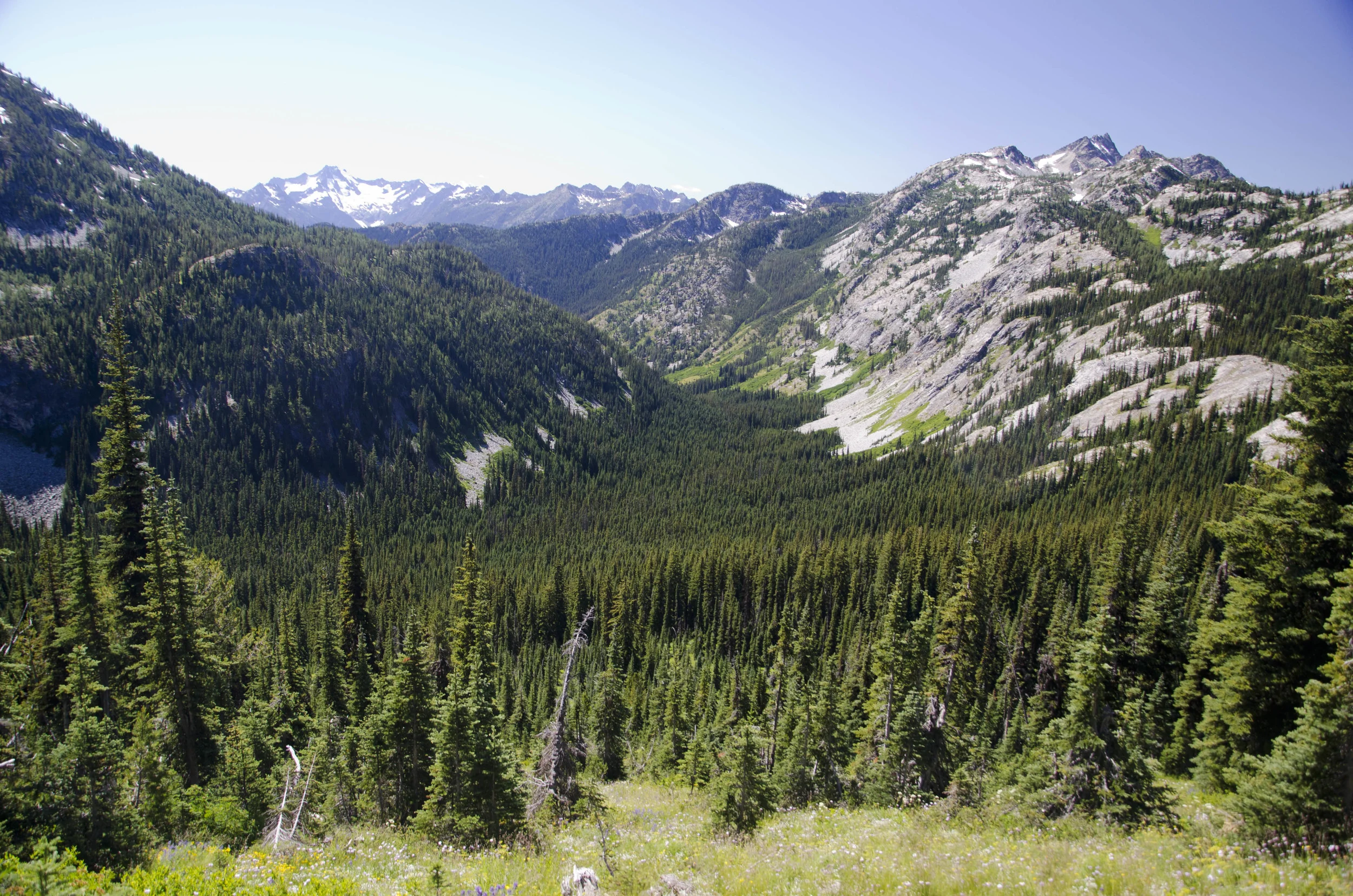 Day 31: 14 miles for vistas and flowers