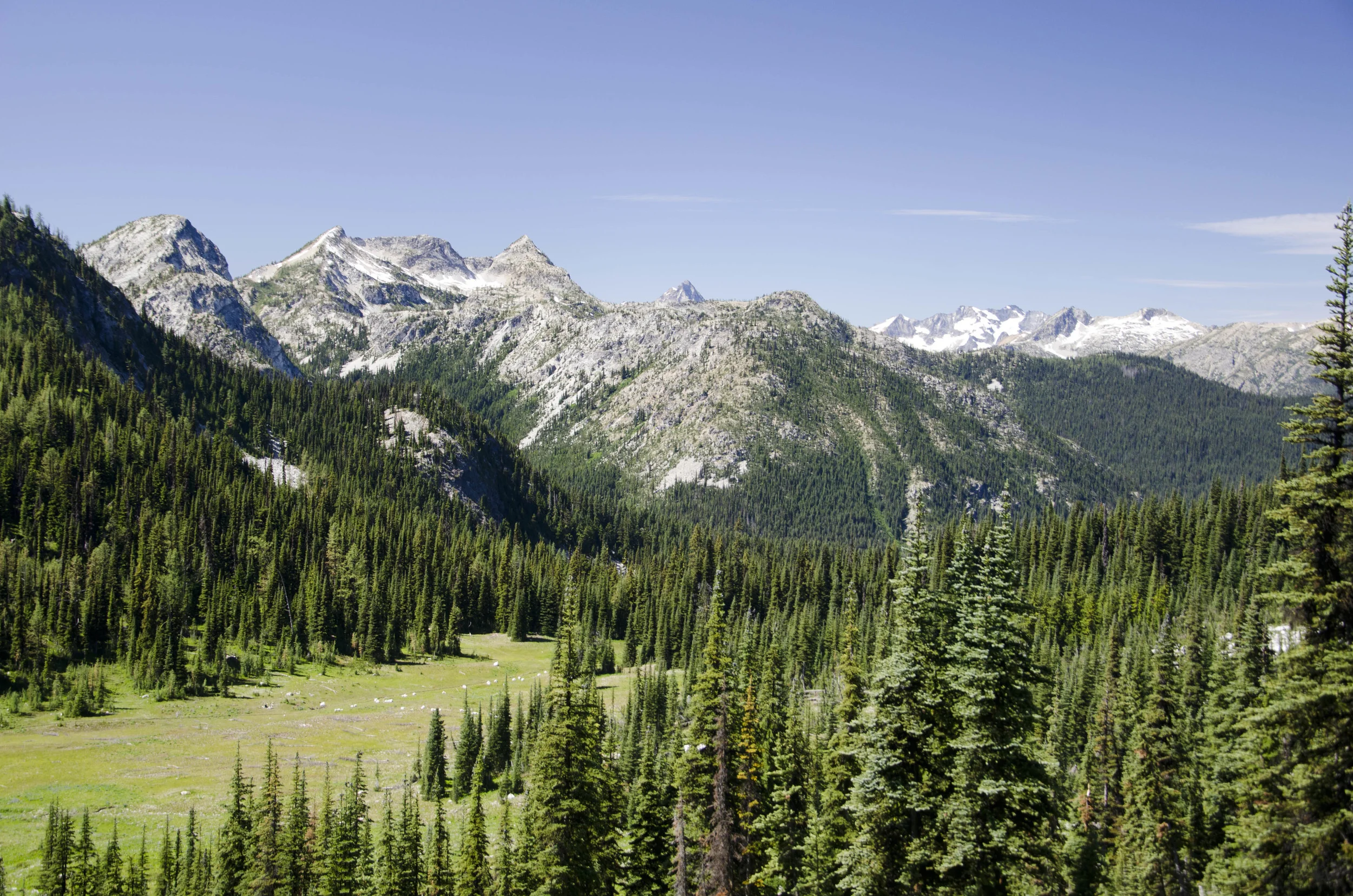 Day 31: 14 miles for vistas and flowers