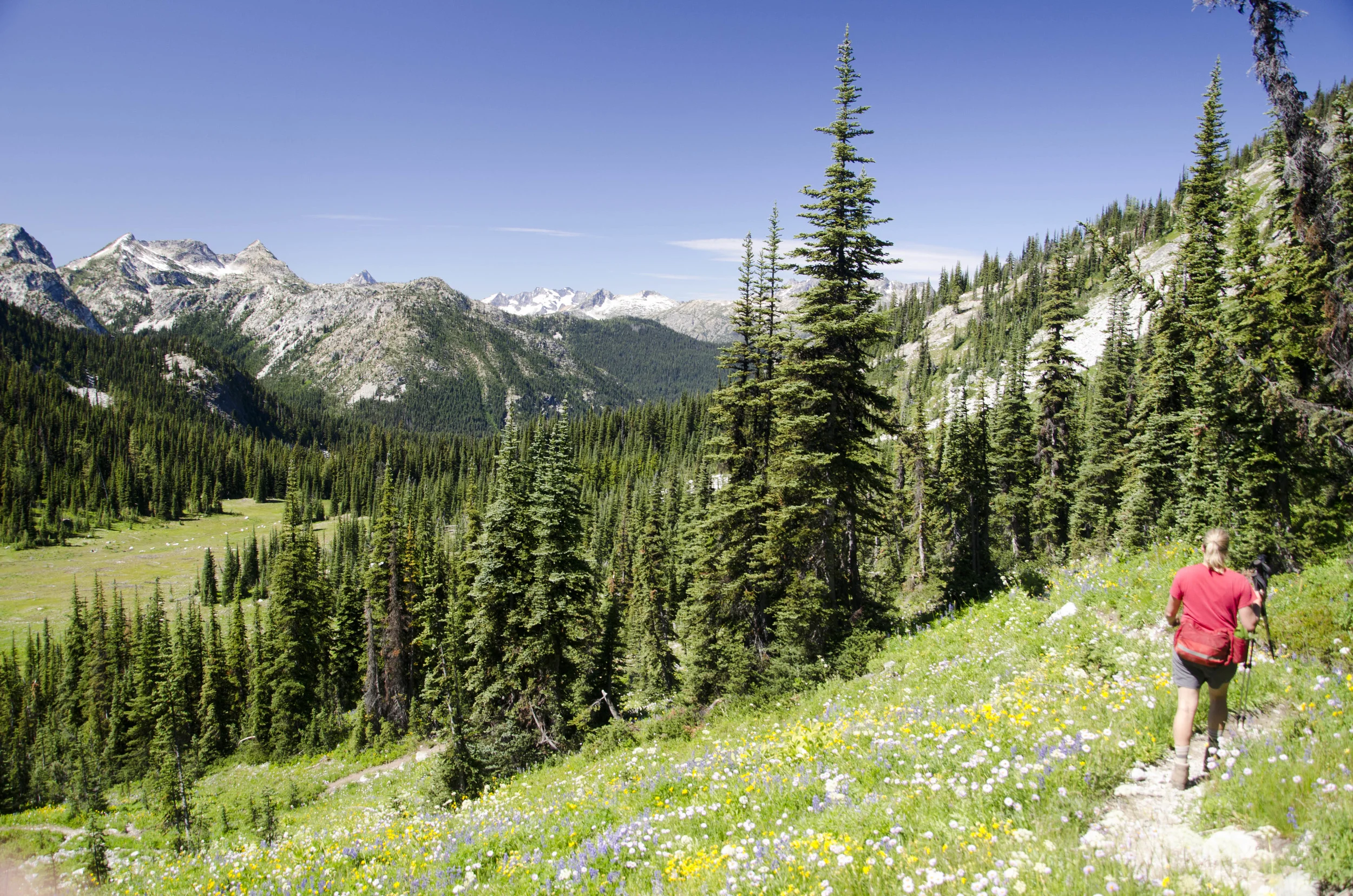 Day 31: 14 miles for vistas and flowers