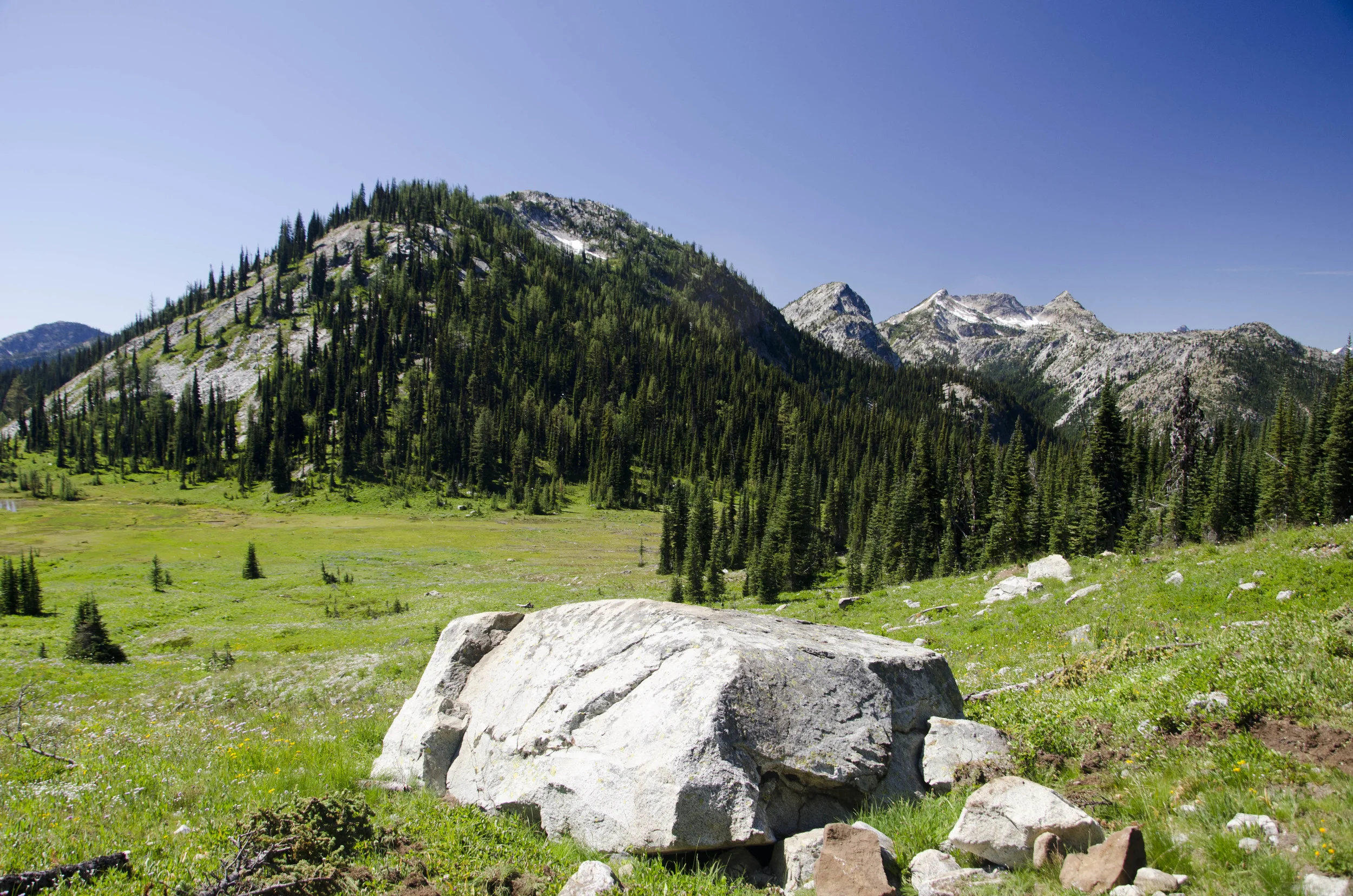 Day 31: 14 miles for vistas and flowers