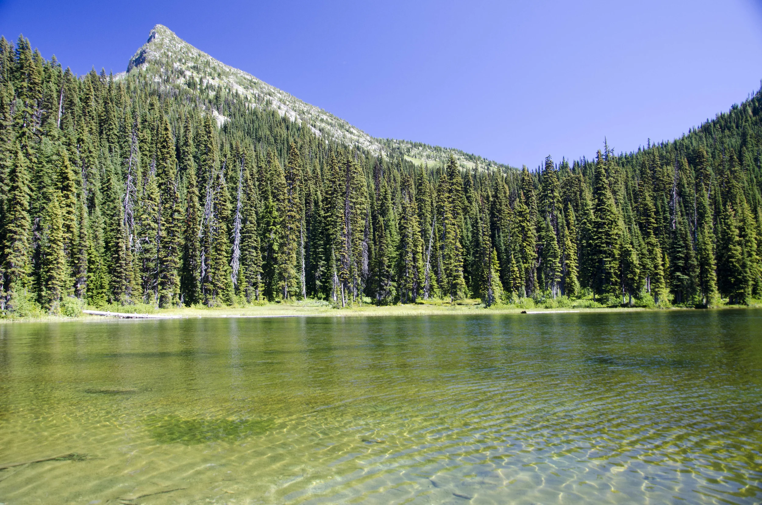 Day 31: 14 miles for vistas and flowers