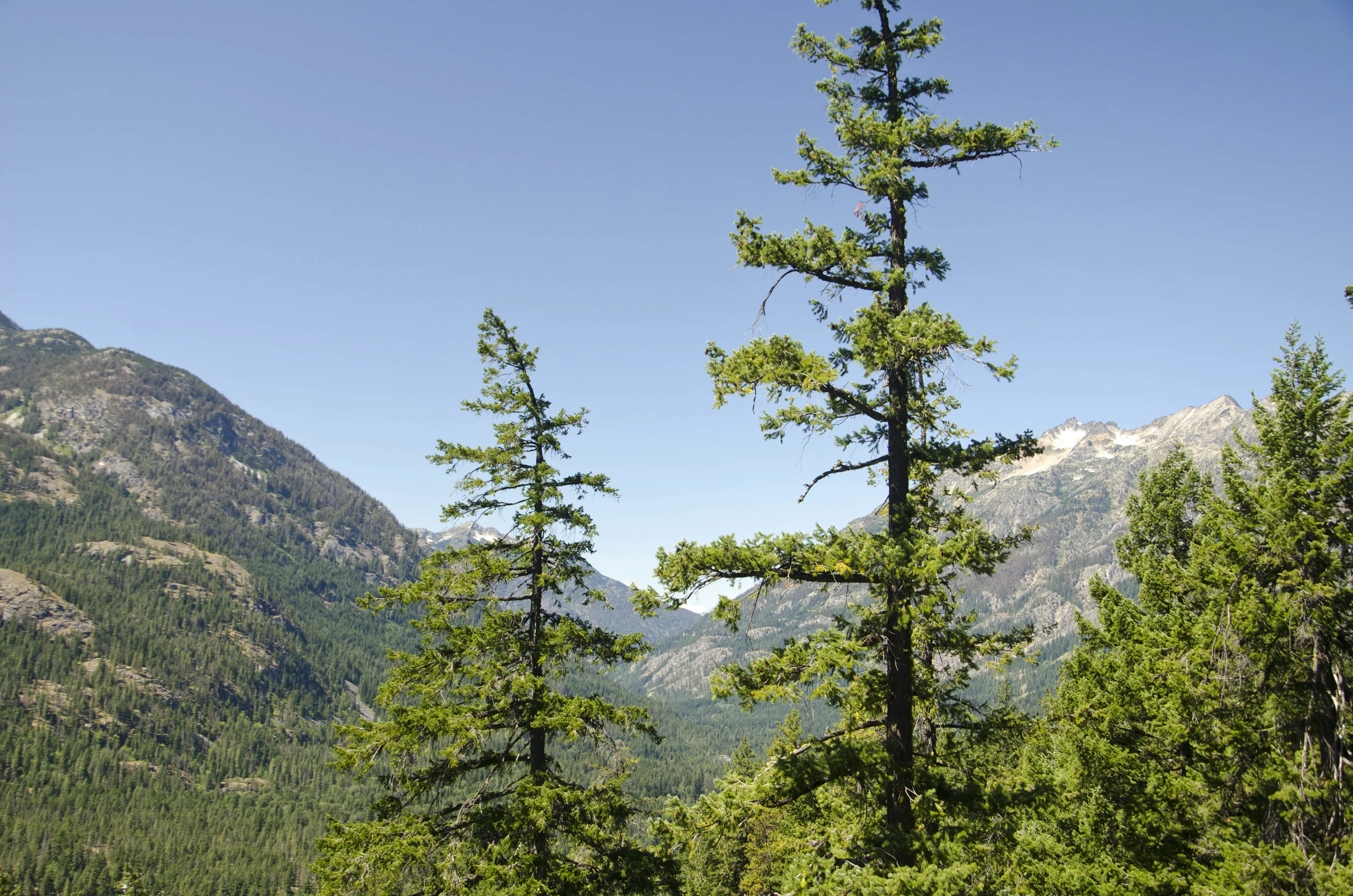 Day 30: Cars, boats, buses and boots