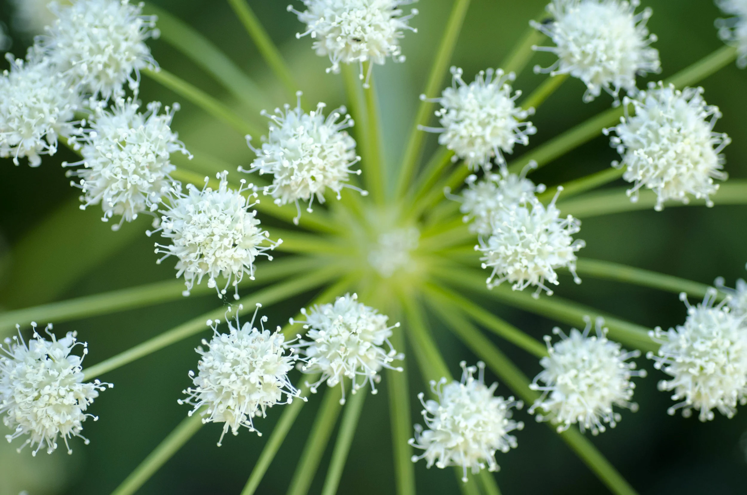 Day 30: Cars, boats, buses and boots