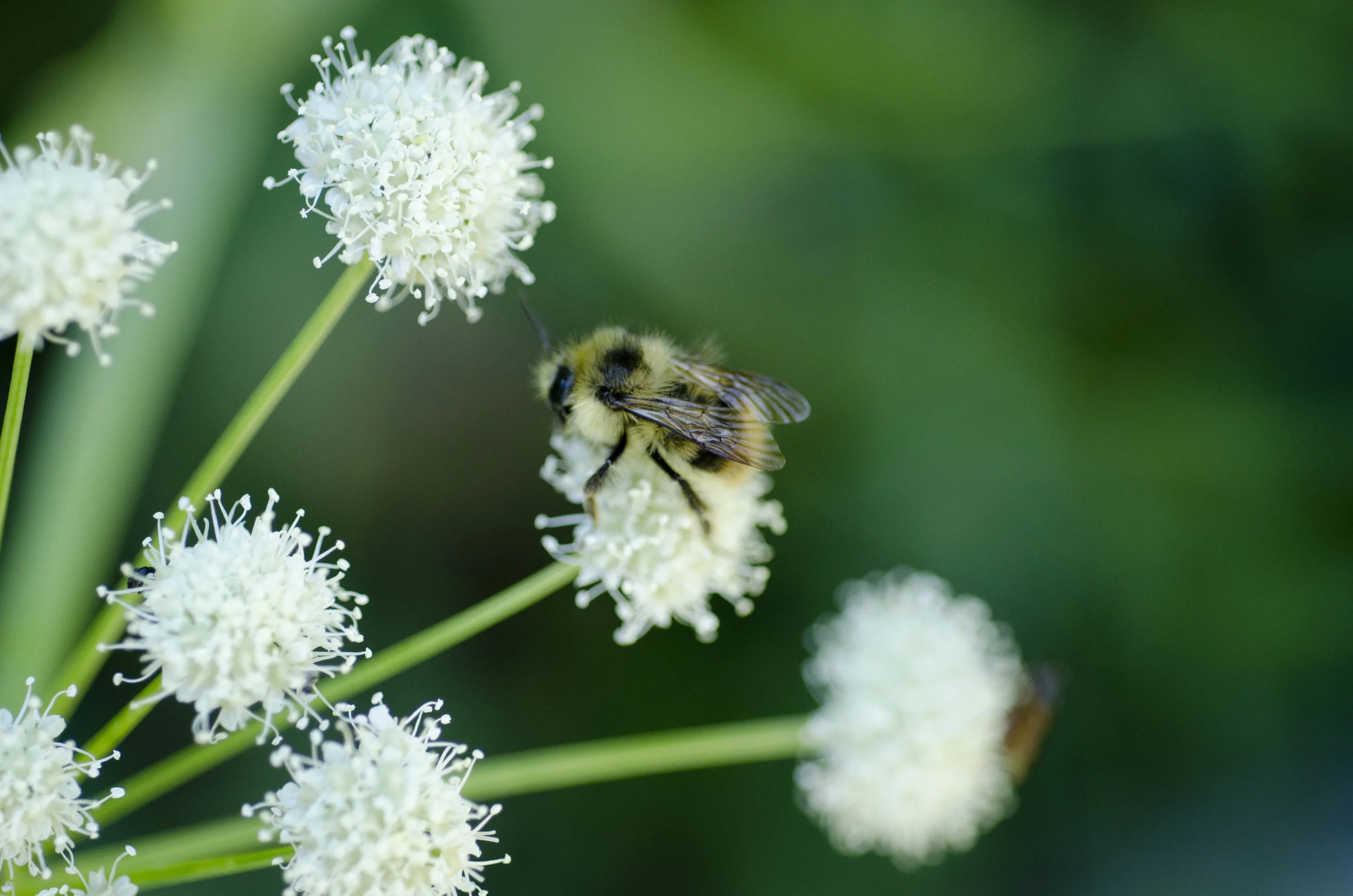 Day 30: Cars, boats, buses and boots