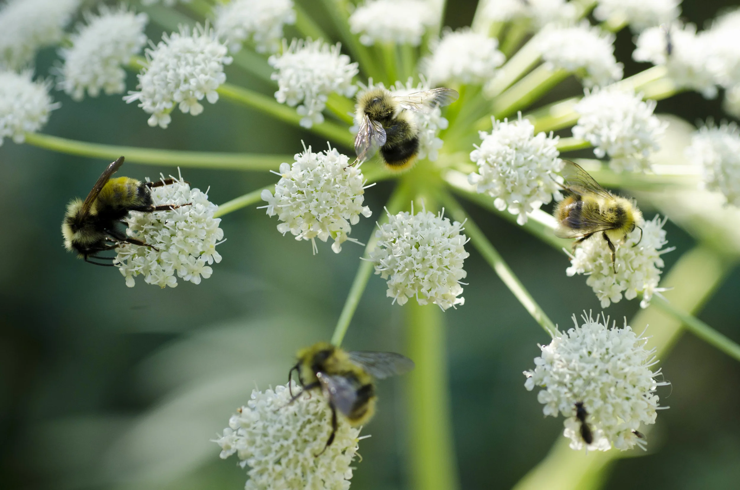 Day 30: Cars, boats, buses and boots