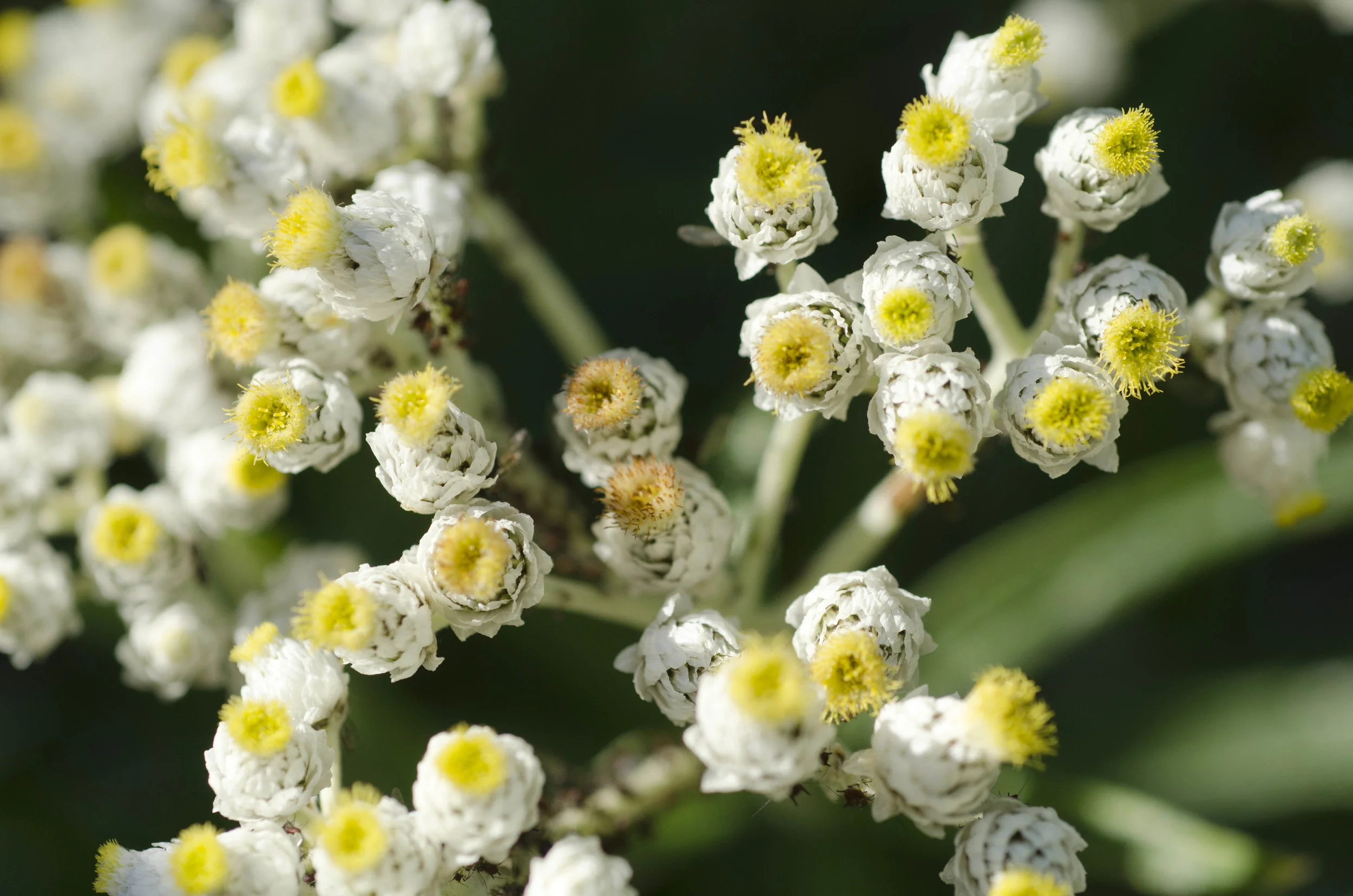 Day 30: Cars, boats, buses and boots