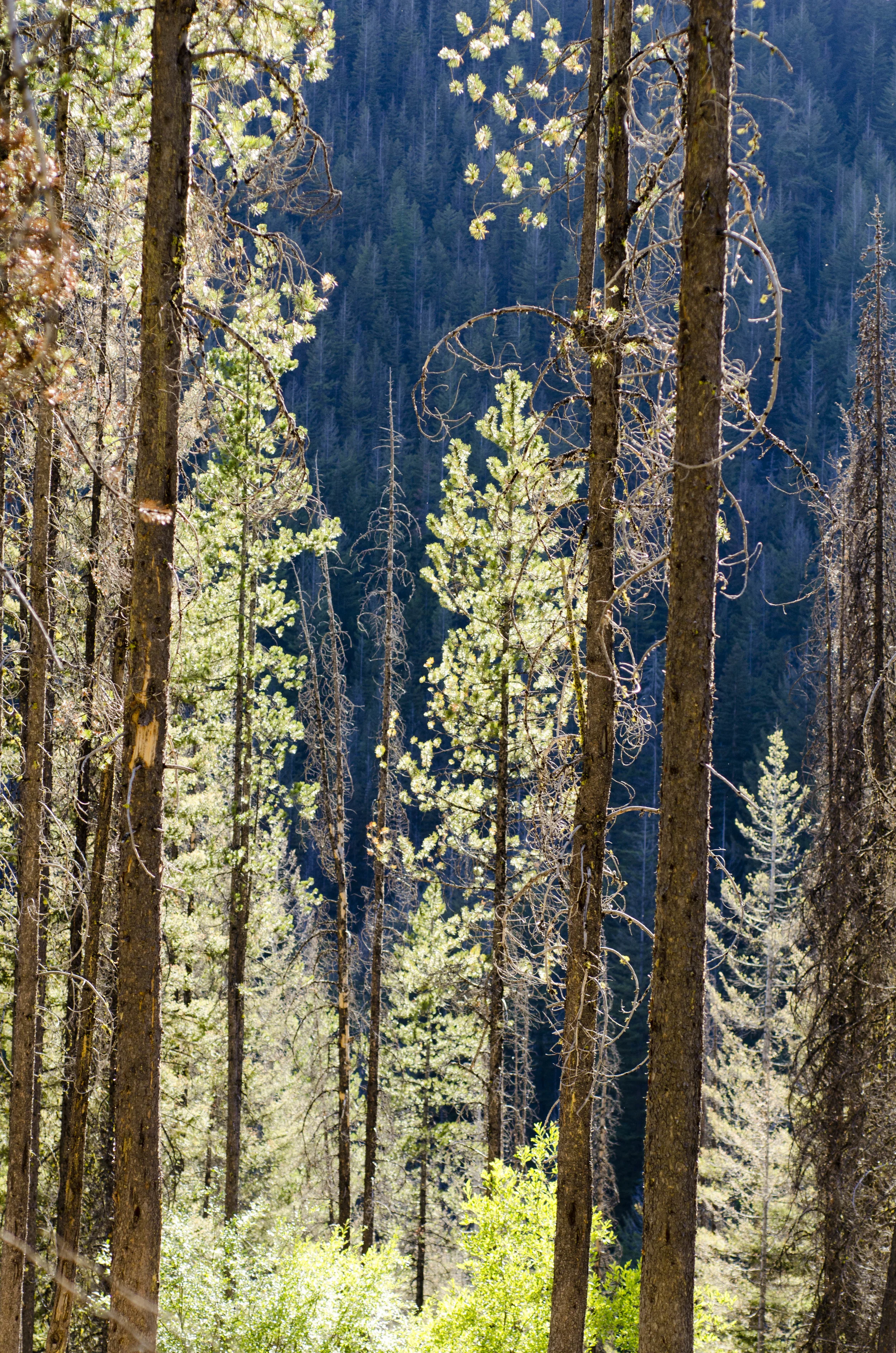 Day 30: Cars, boats, buses and boots