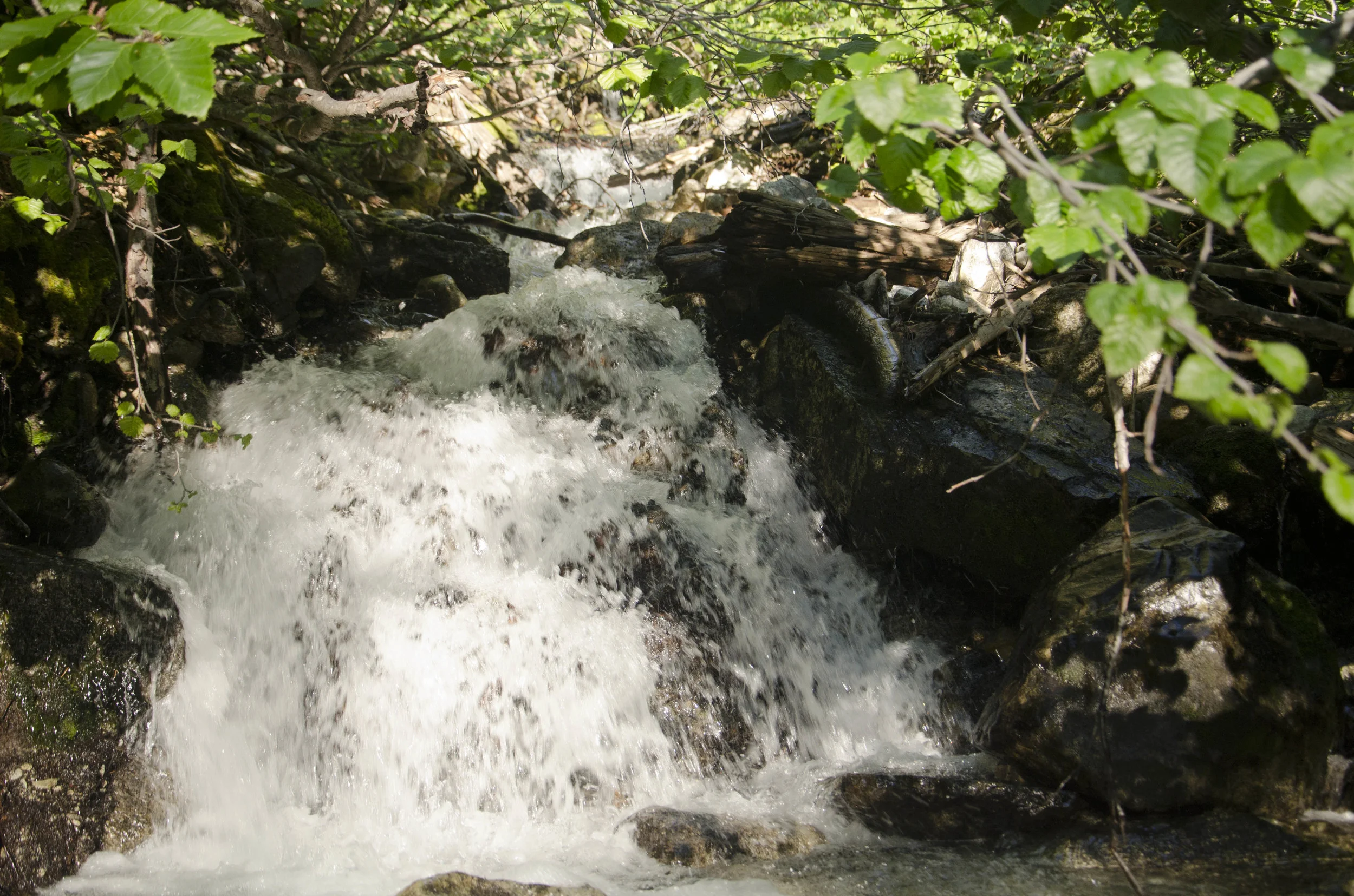 Day 30: Cars, boats, buses and boots