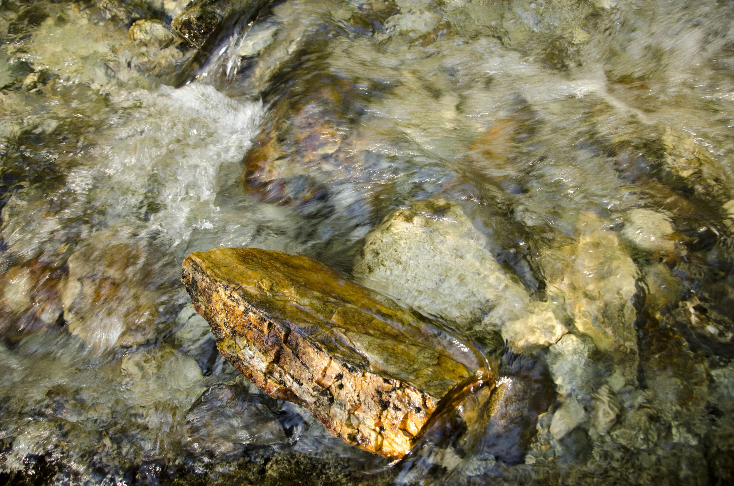 Day 30: Cars, boats, buses and boots