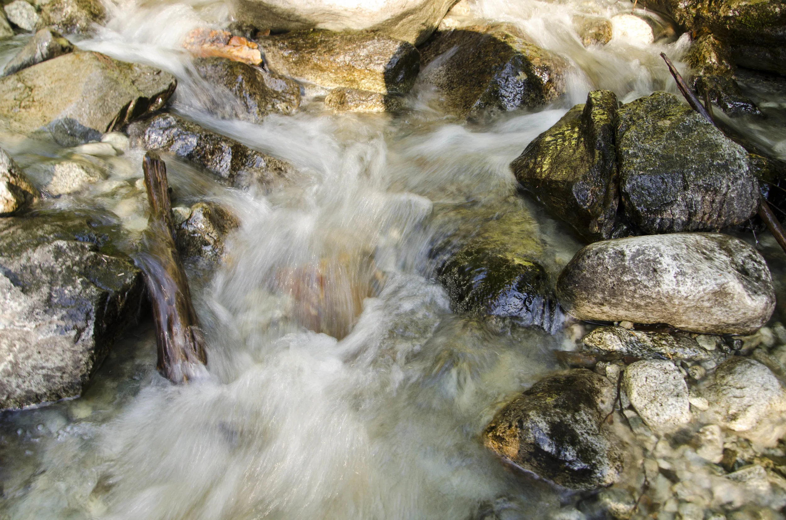 Day 30: Cars, boats, buses and boots