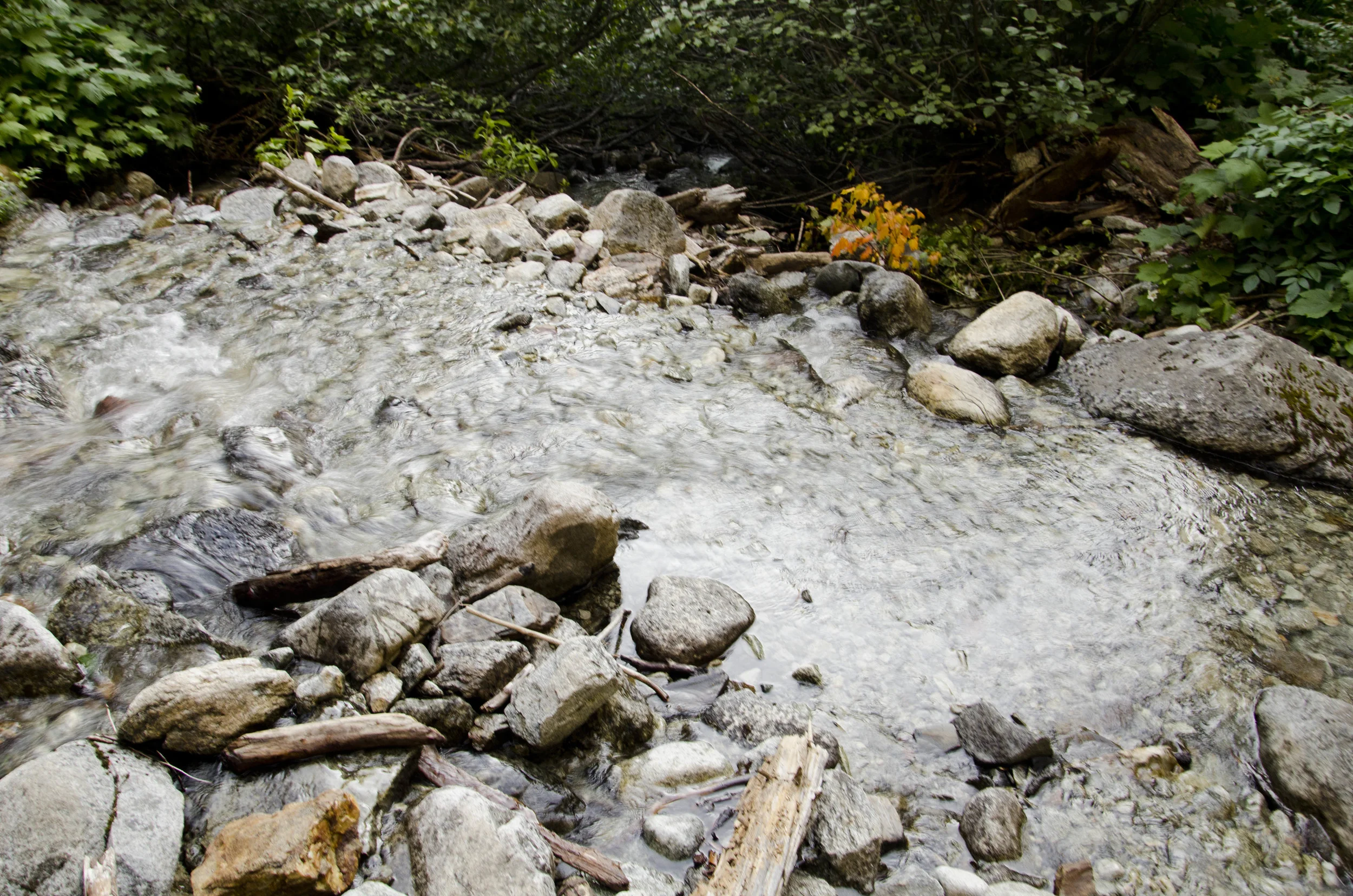 Day 30: Cars, boats, buses and boots