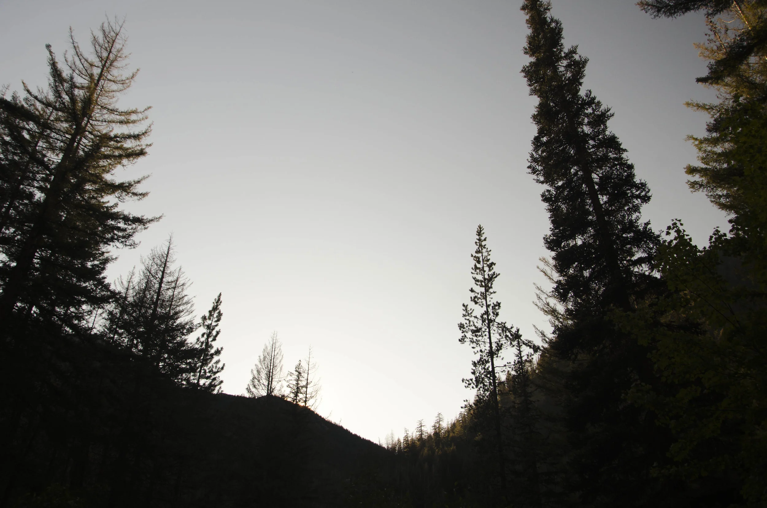 Day 30: Cars, boats, buses and boots