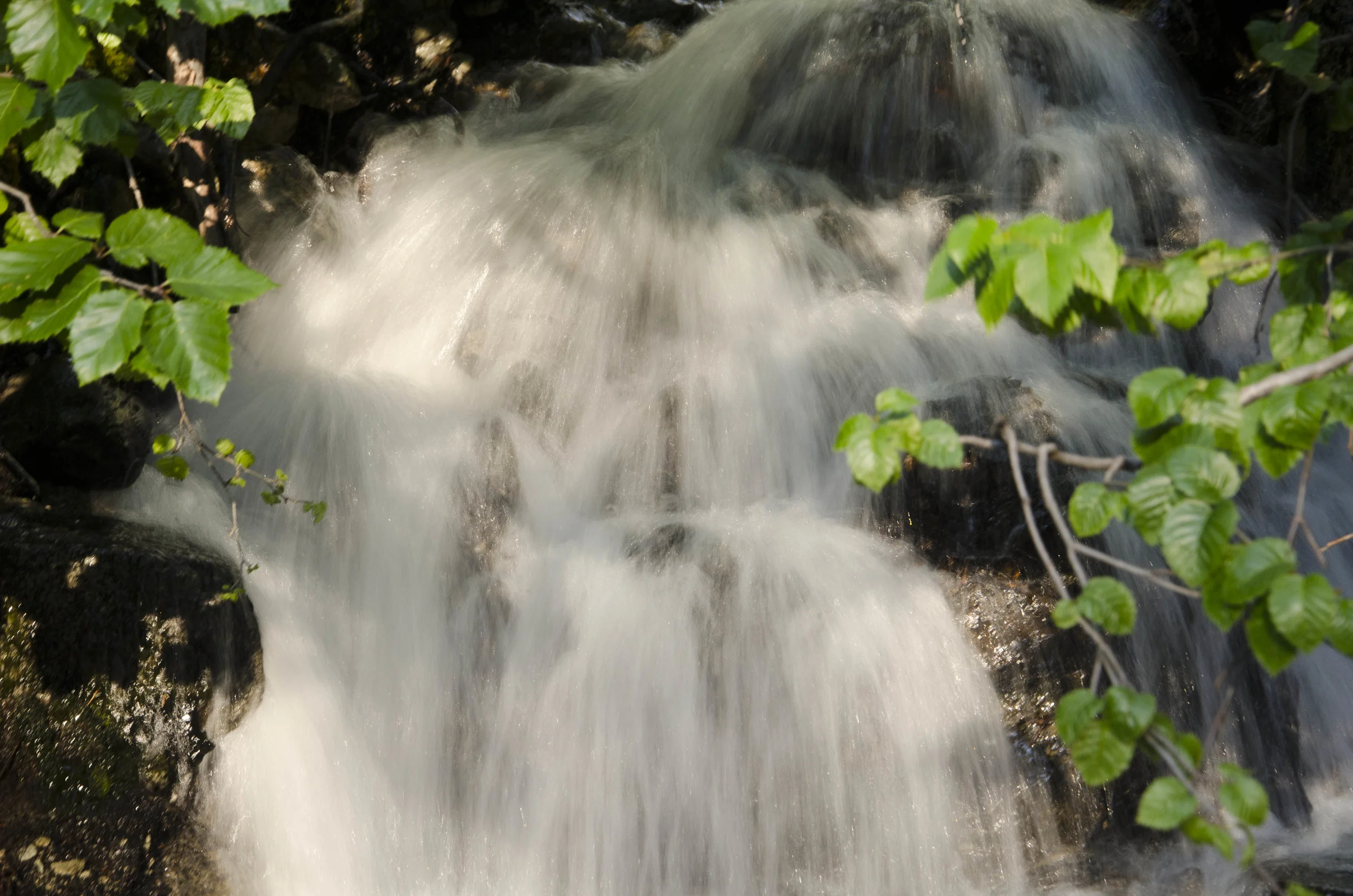 Day 30: Cars, boats, buses and boots