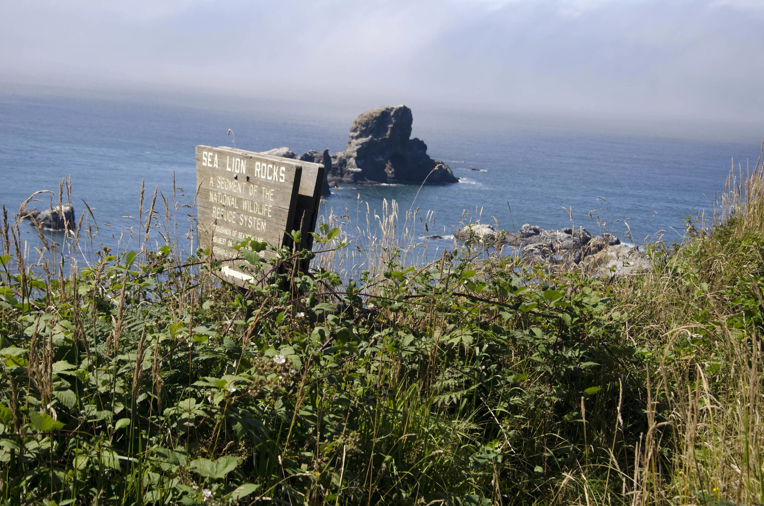 Day 26: The Pacific Ocean!