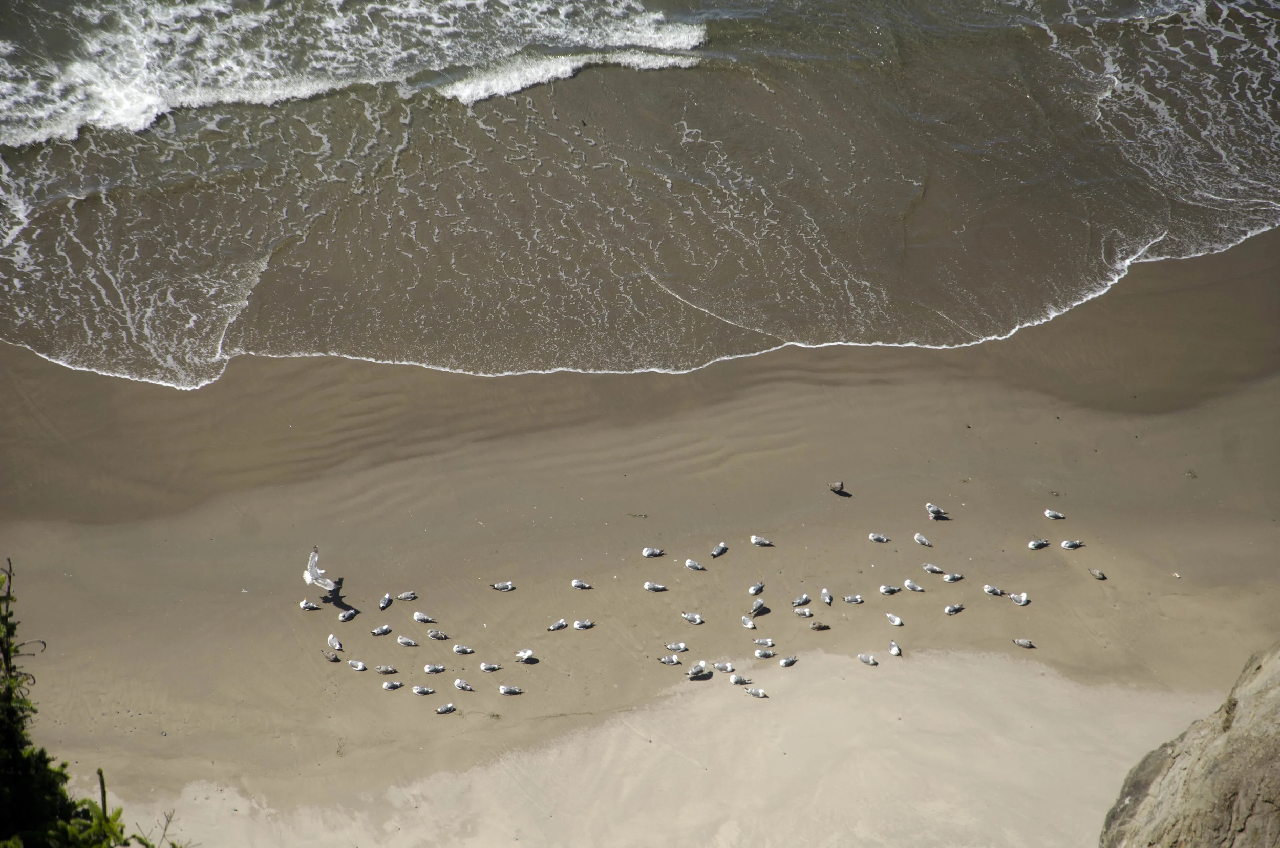 Day 26: The Pacific Ocean!