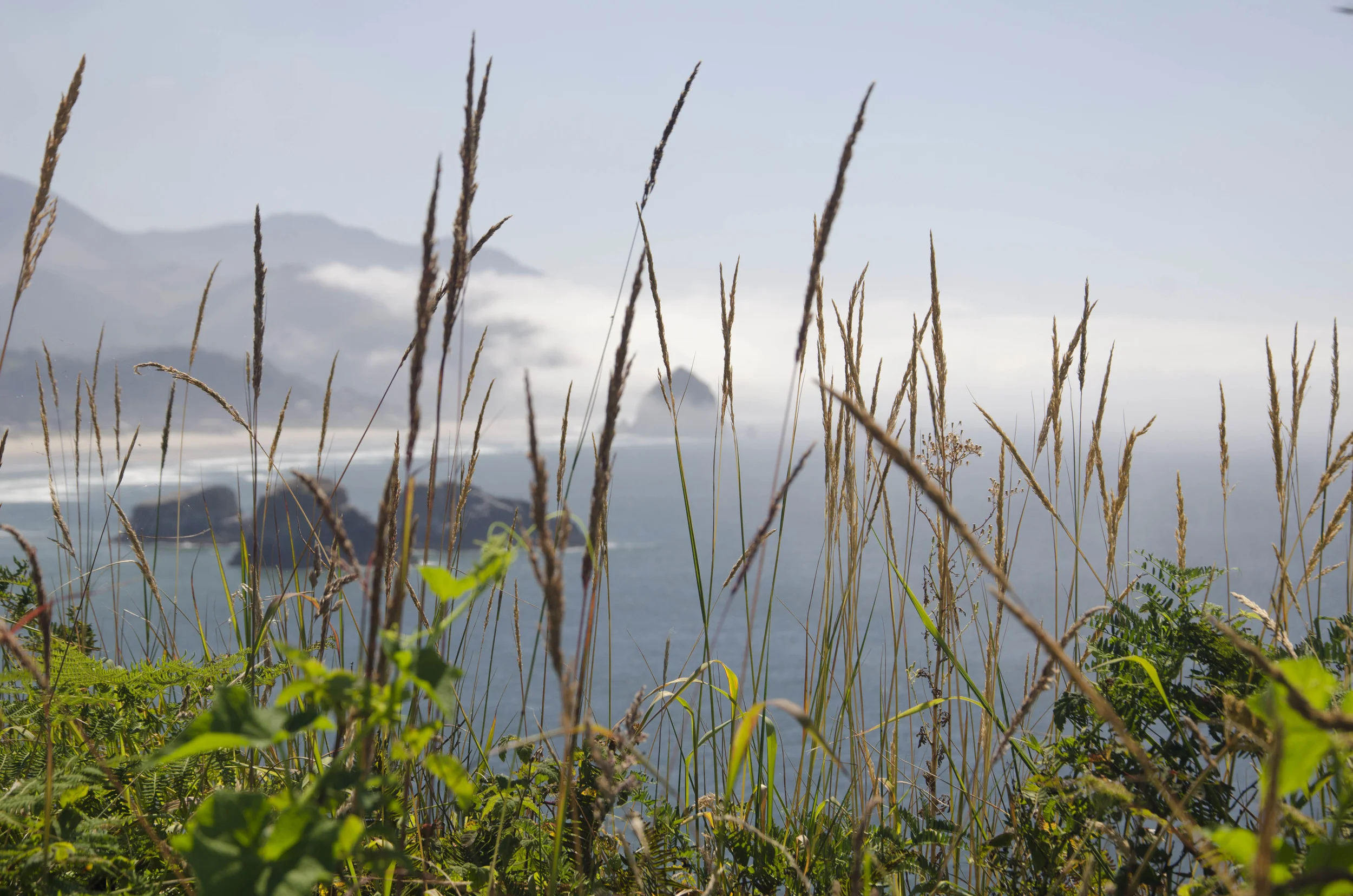 Day 26: The Pacific Ocean!