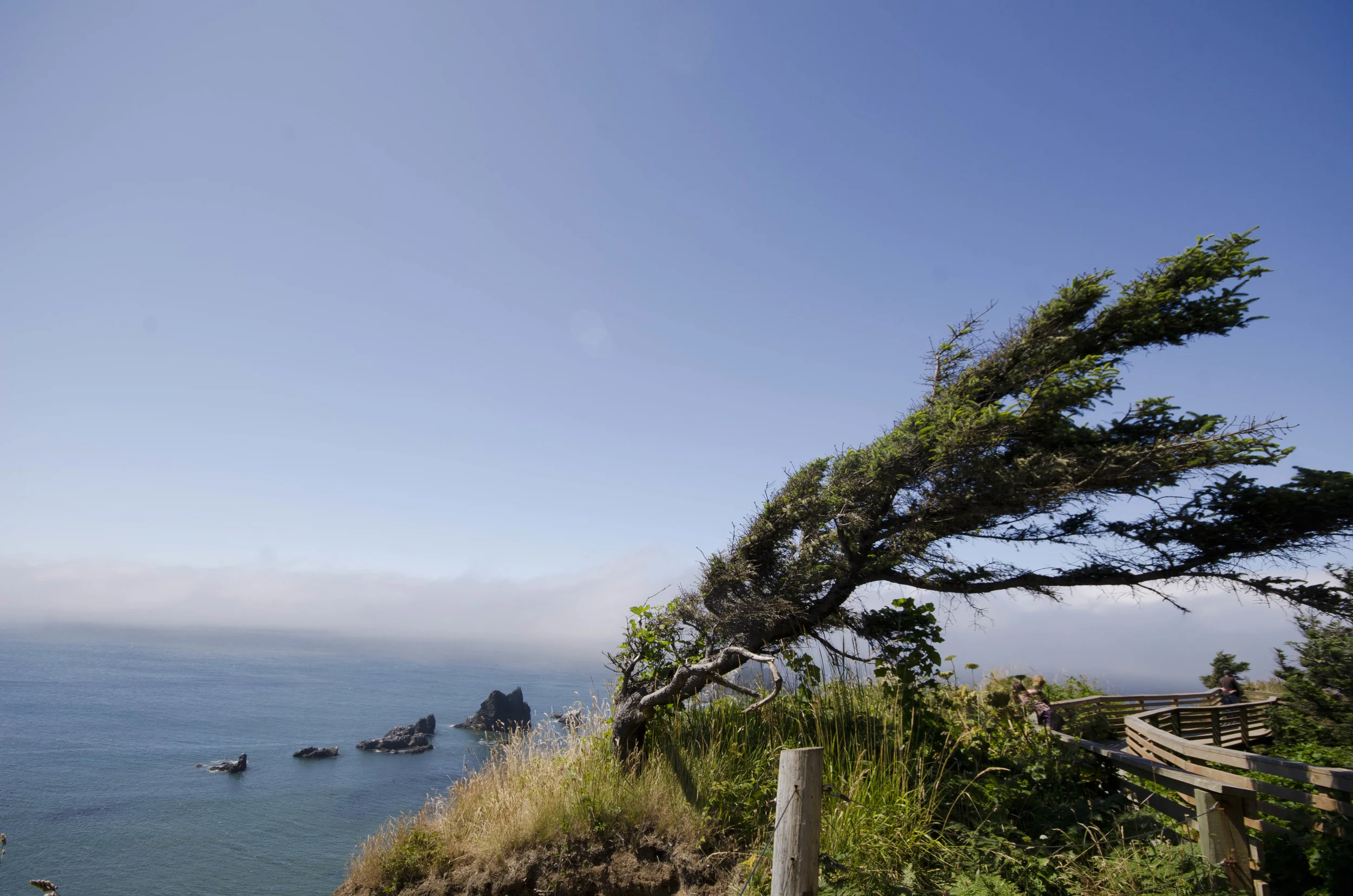 Day 26: The Pacific Ocean!