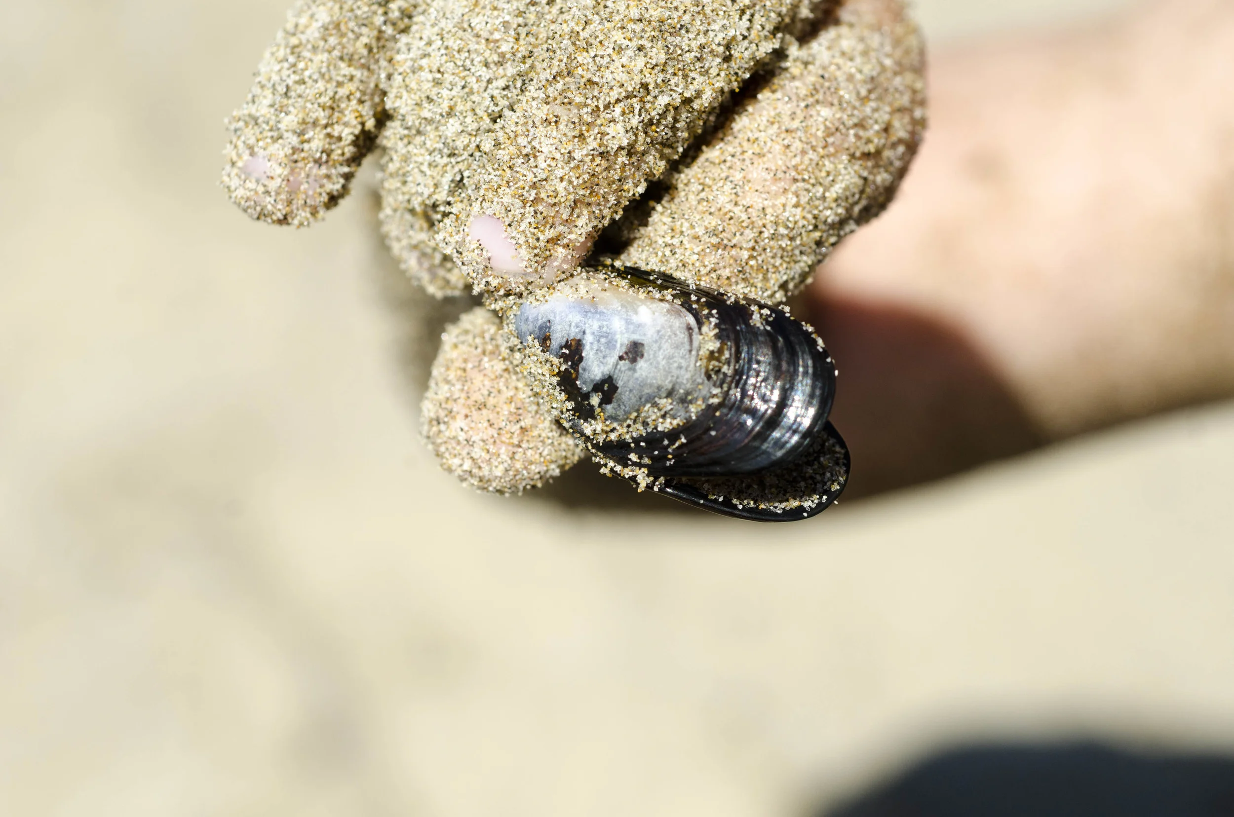 Day 26: The Pacific Ocean!