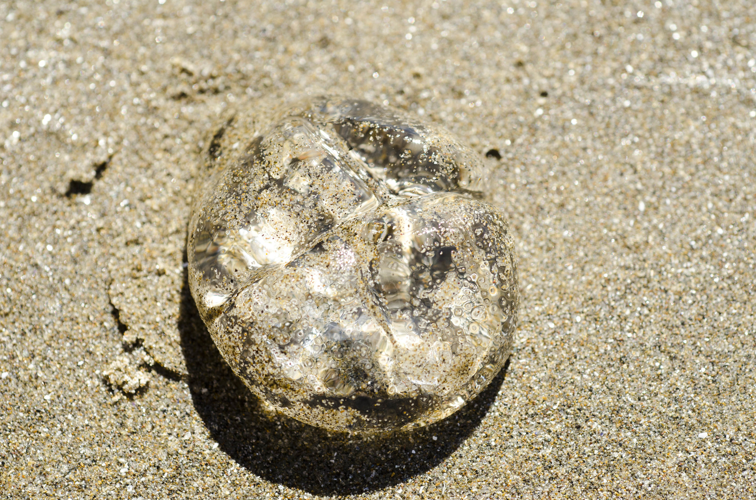 Day 26: The Pacific Ocean!