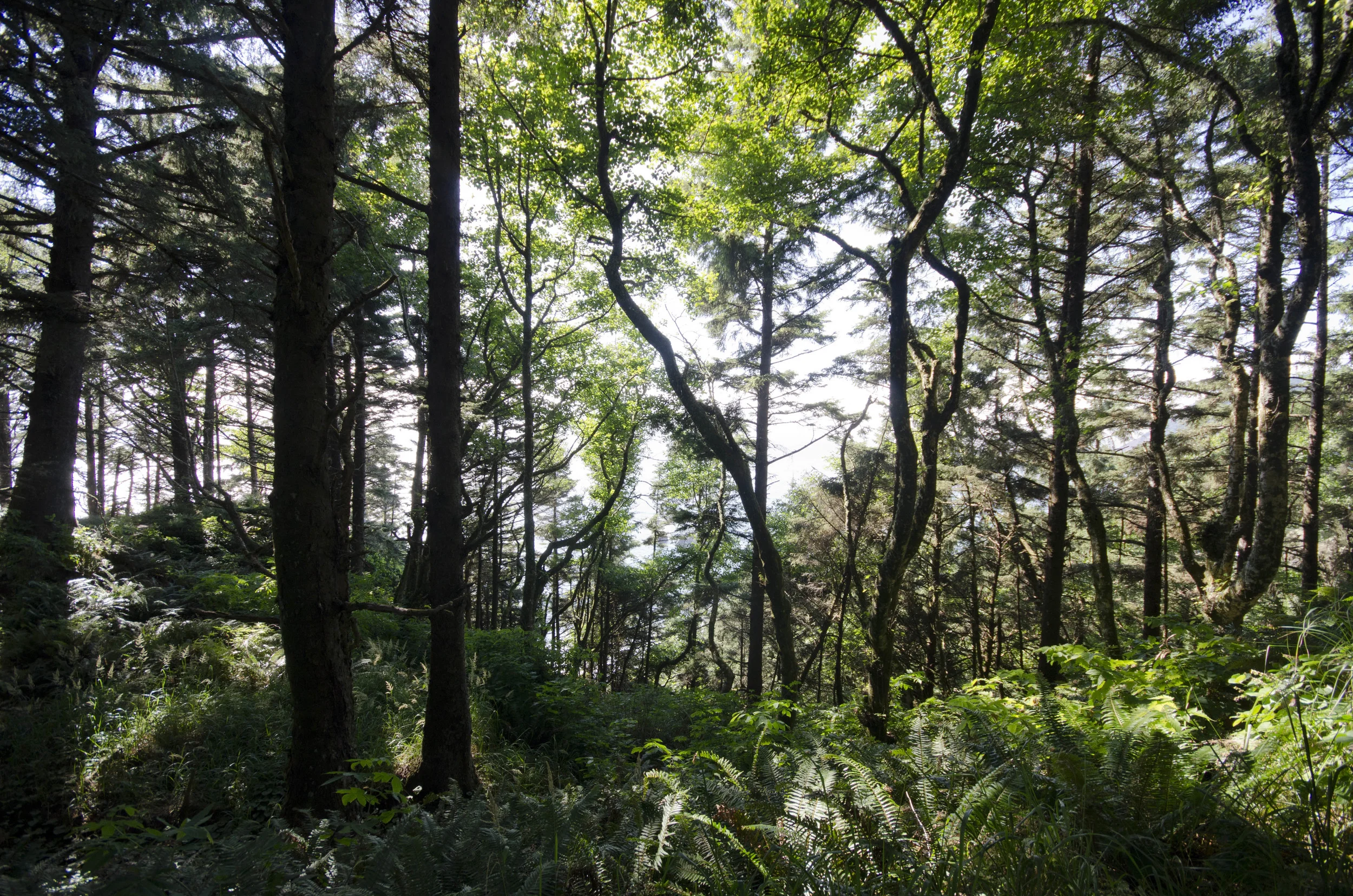 Day 26: The Pacific Ocean!