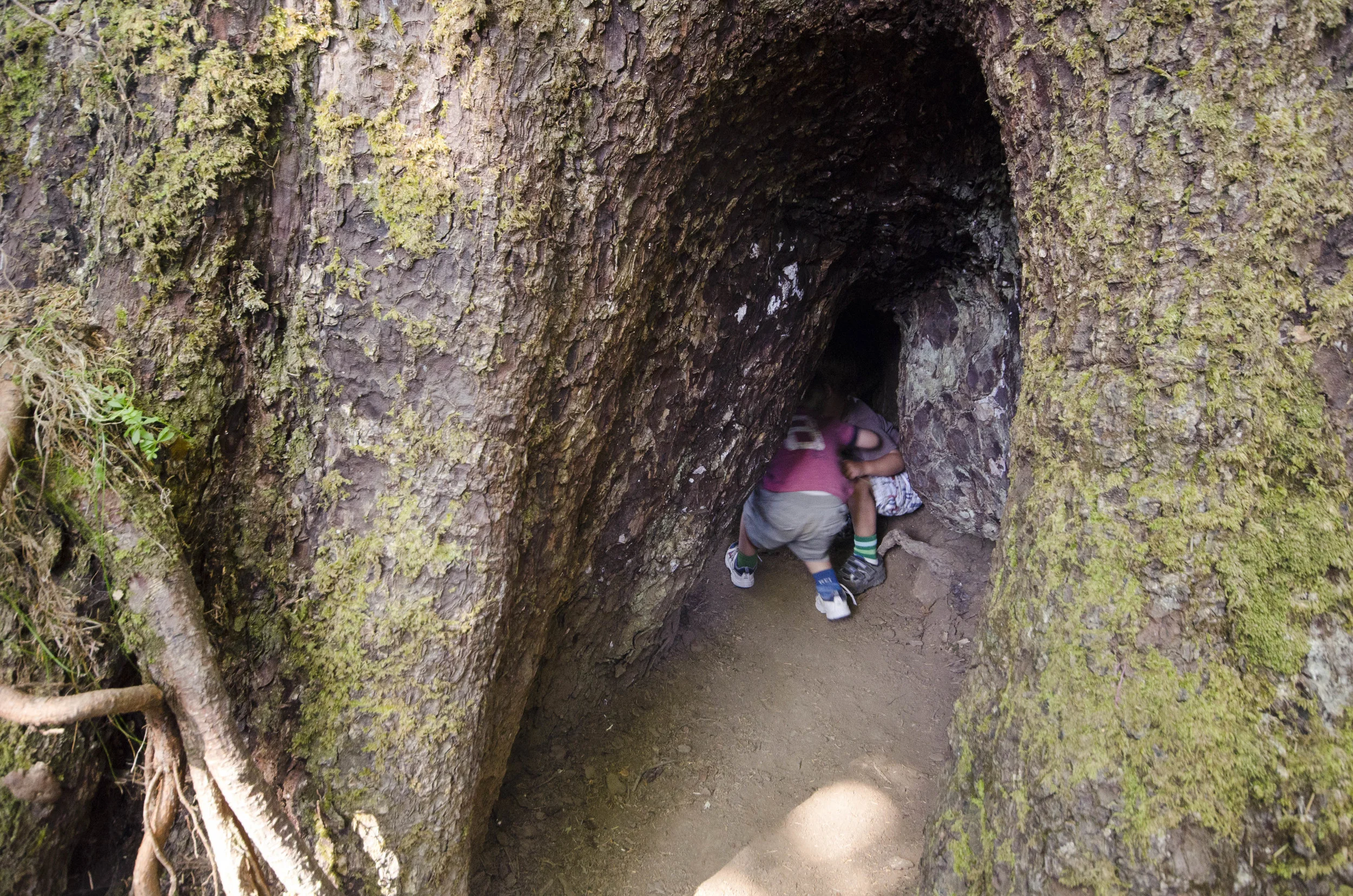 Day 26: The Pacific Ocean!