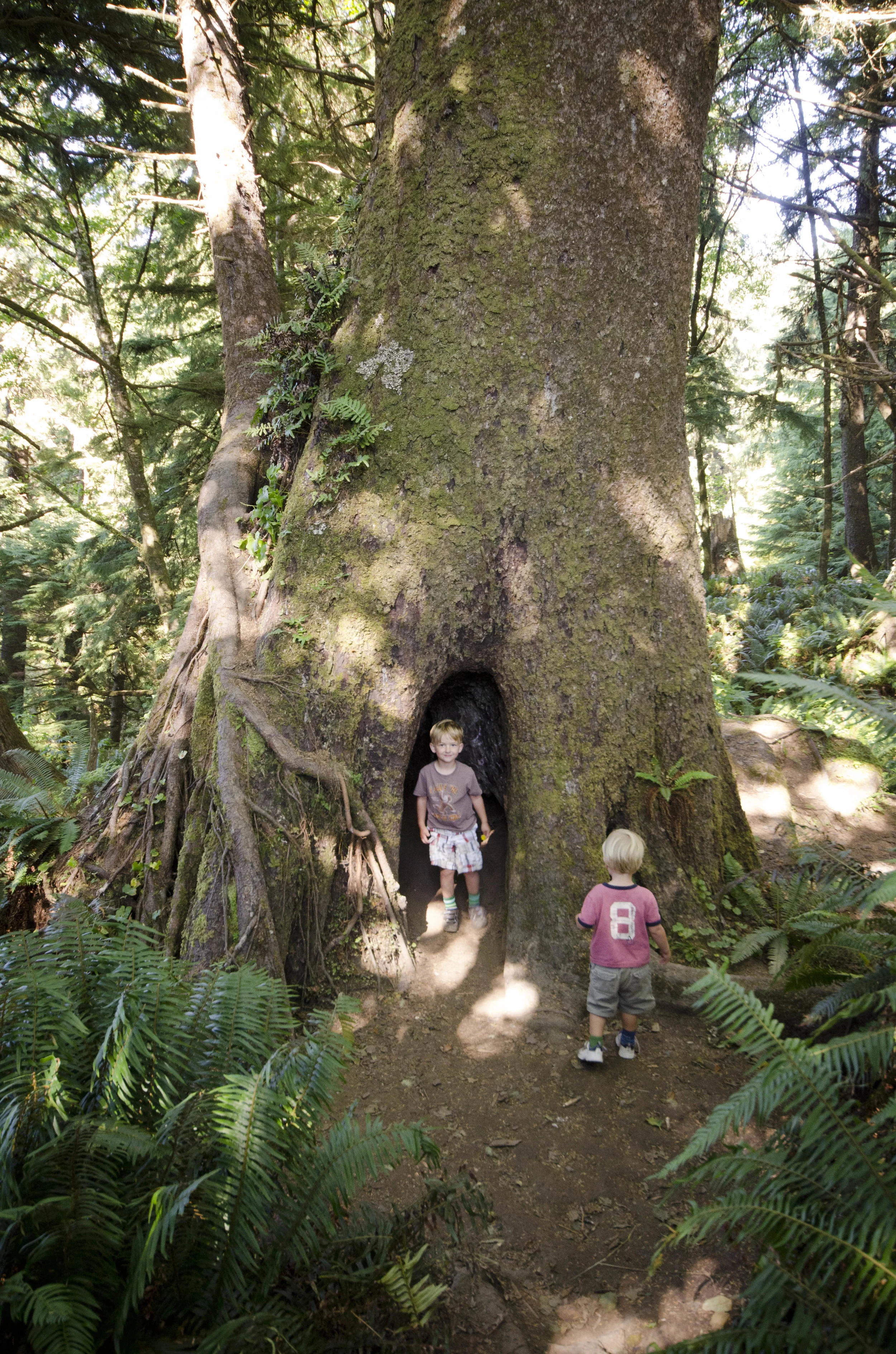 Day 26: The Pacific Ocean!