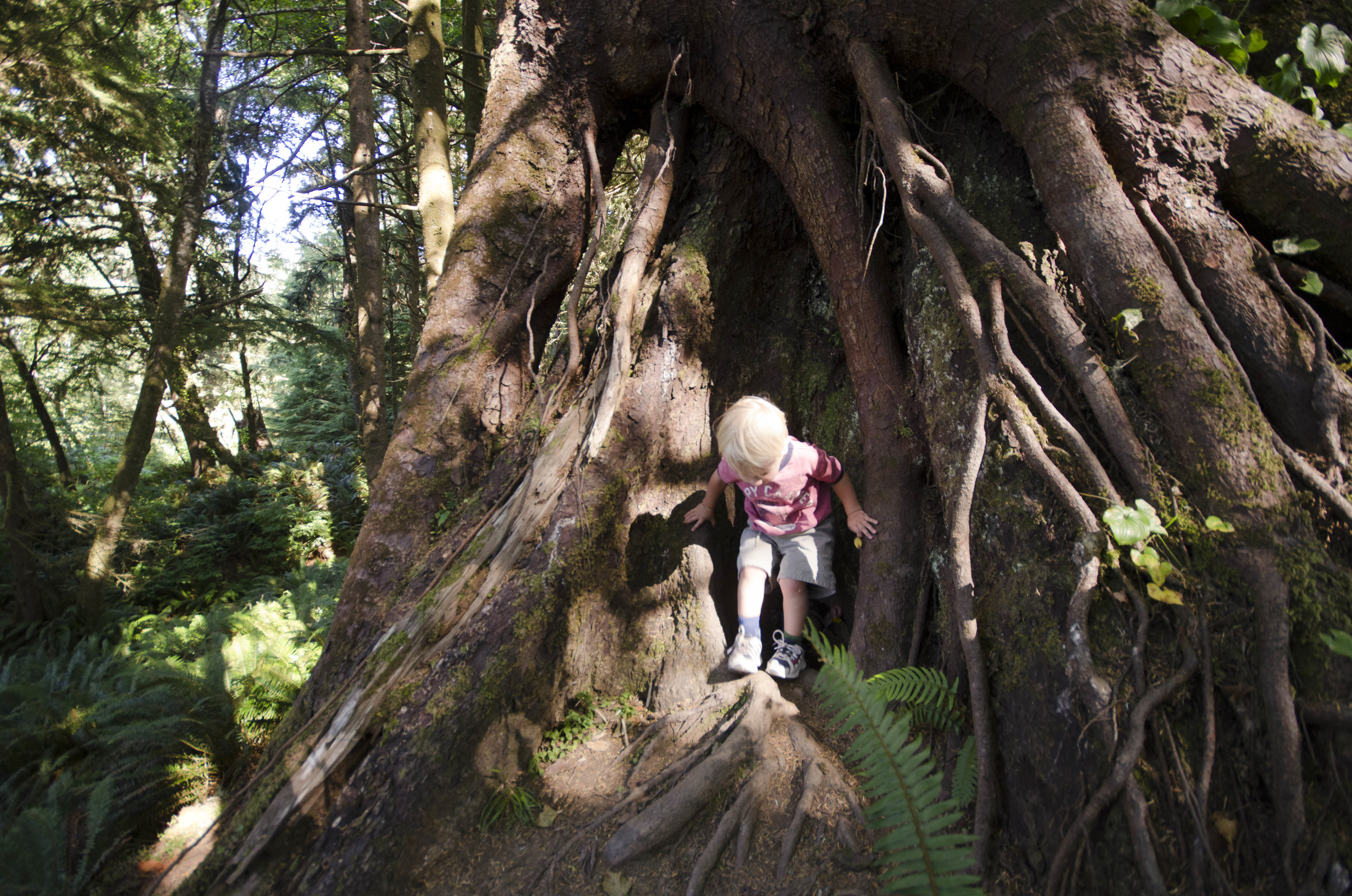 Day 26: The Pacific Ocean!