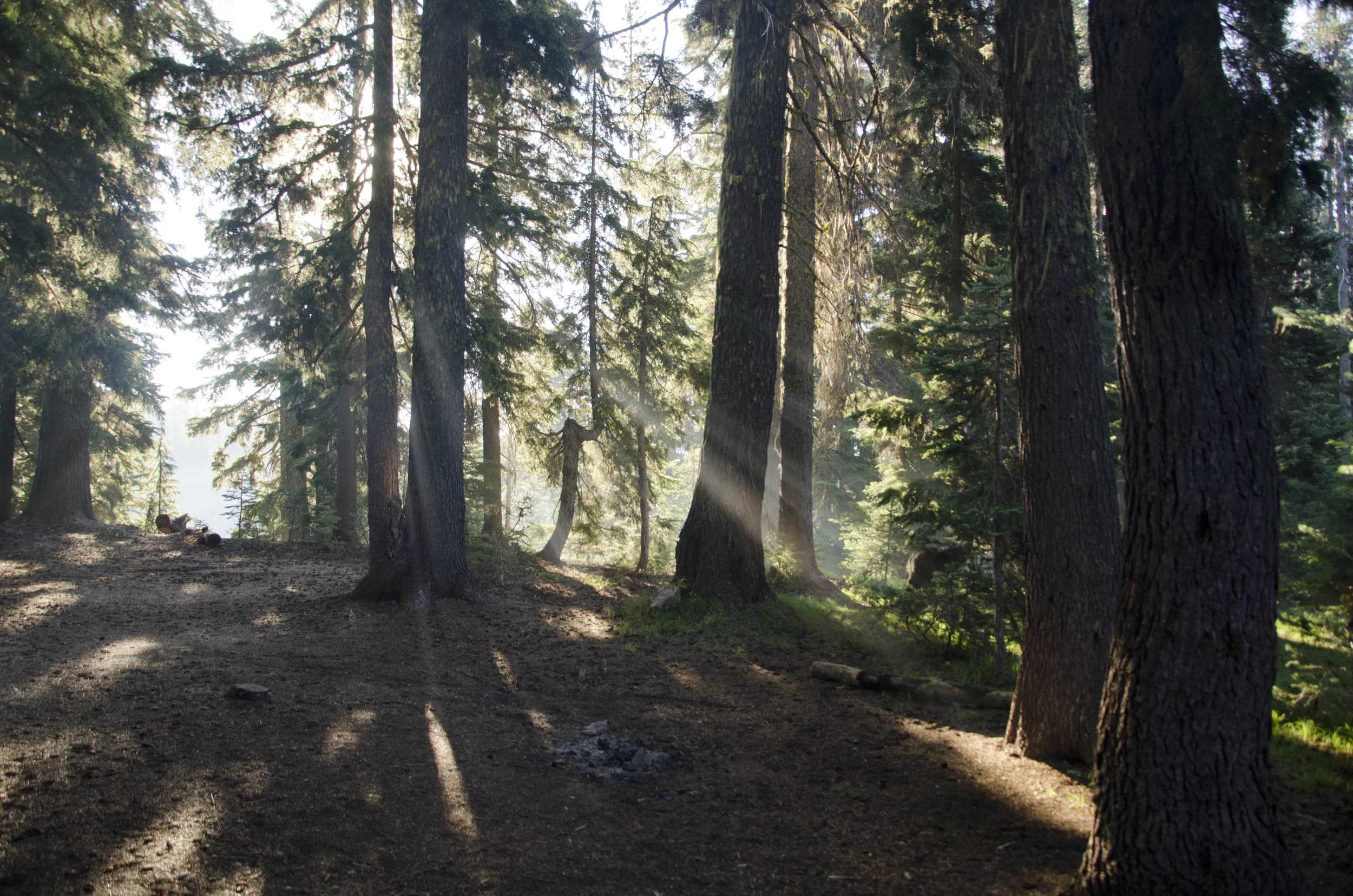 Day 24: 290 miles and 1 state