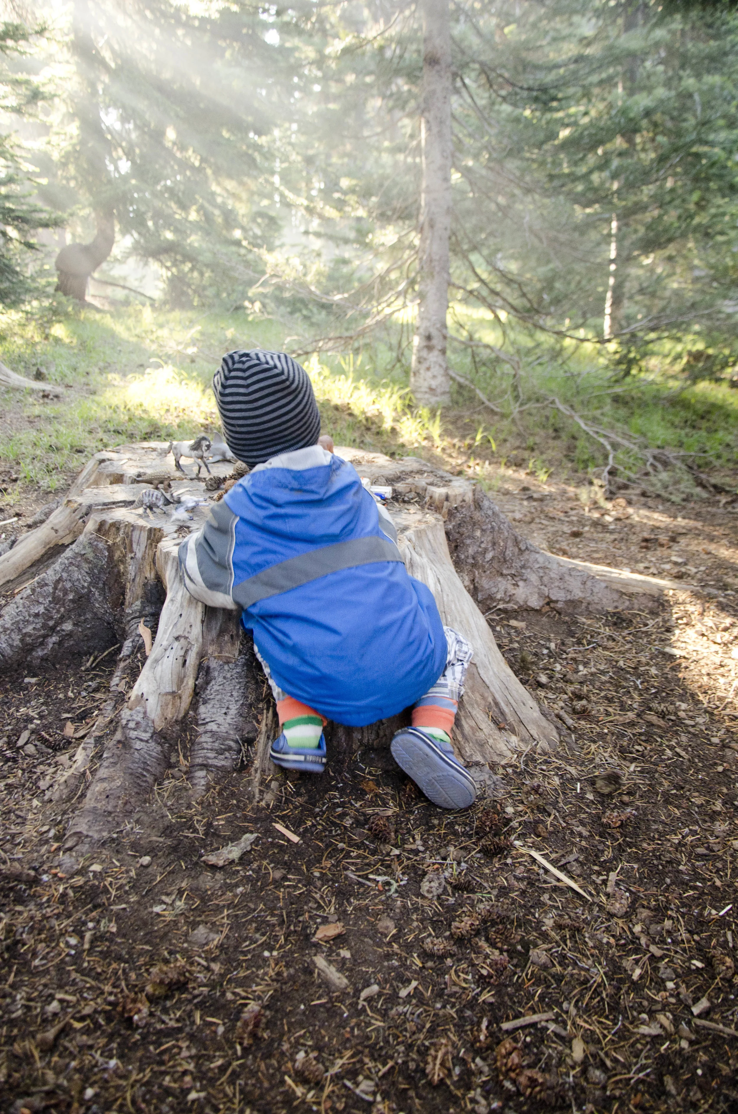 Day 24: 290 miles and 1 state