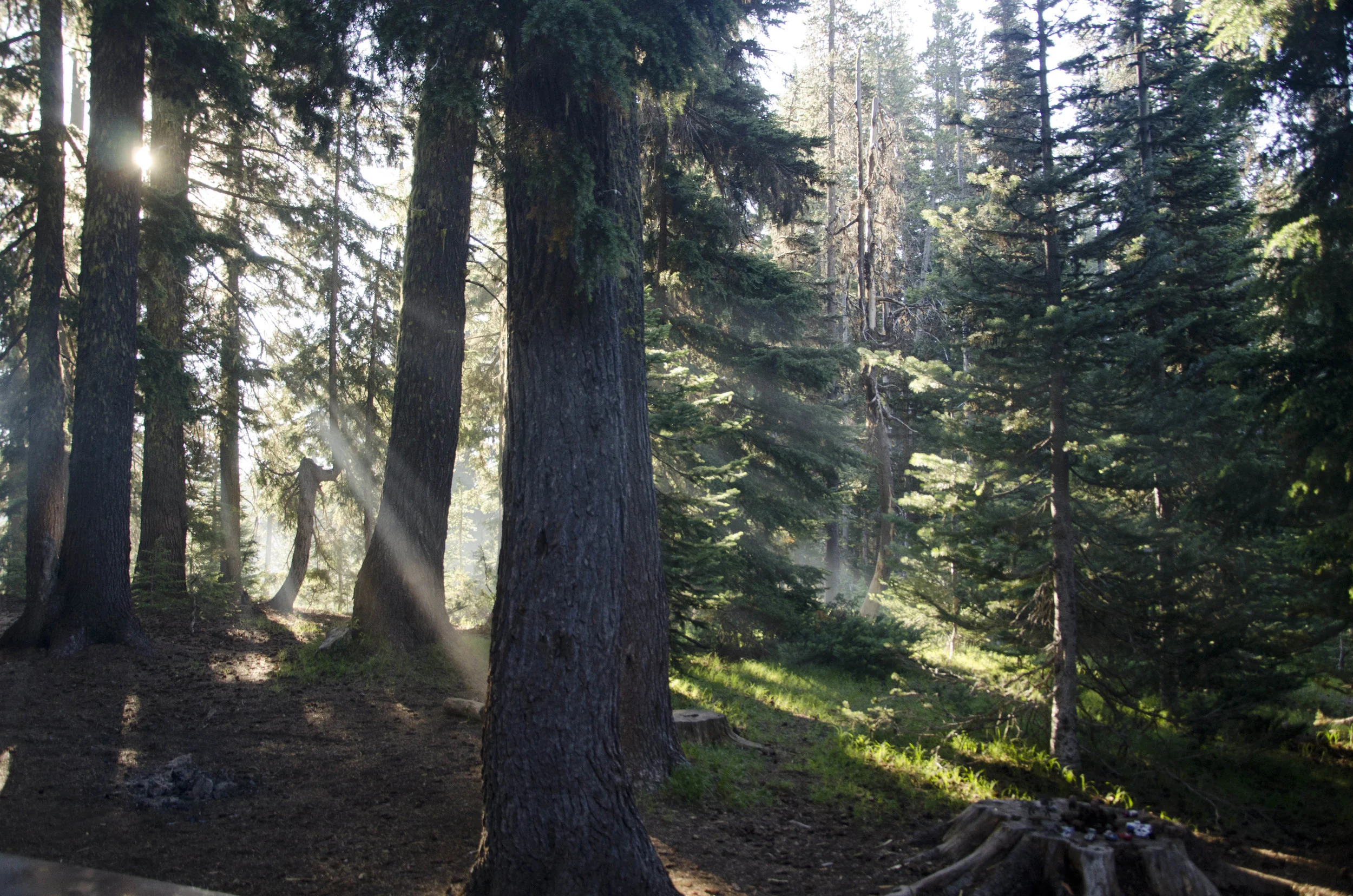 Day 24: 290 miles and 1 state