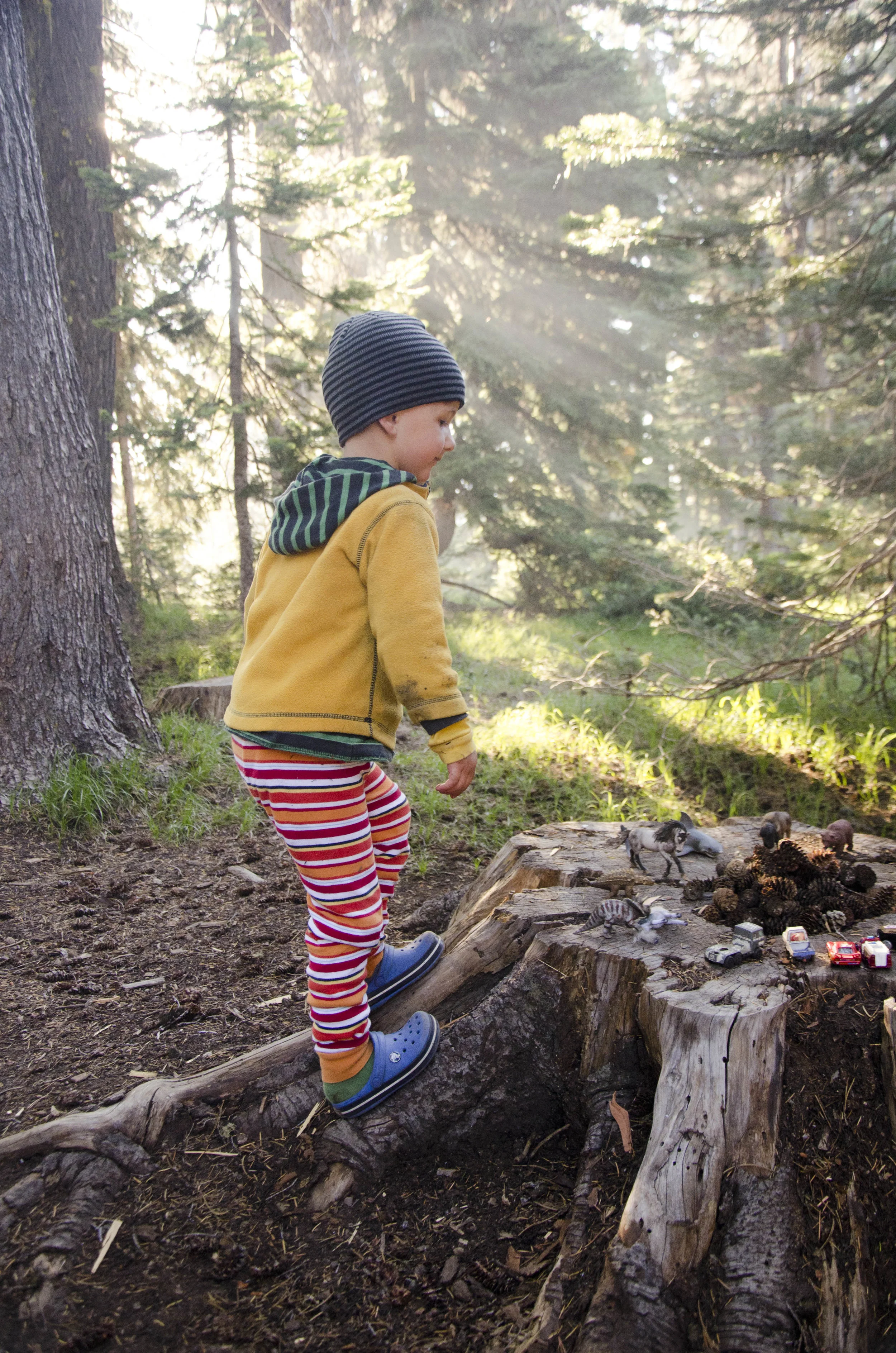 Day 24: 290 miles and 1 state