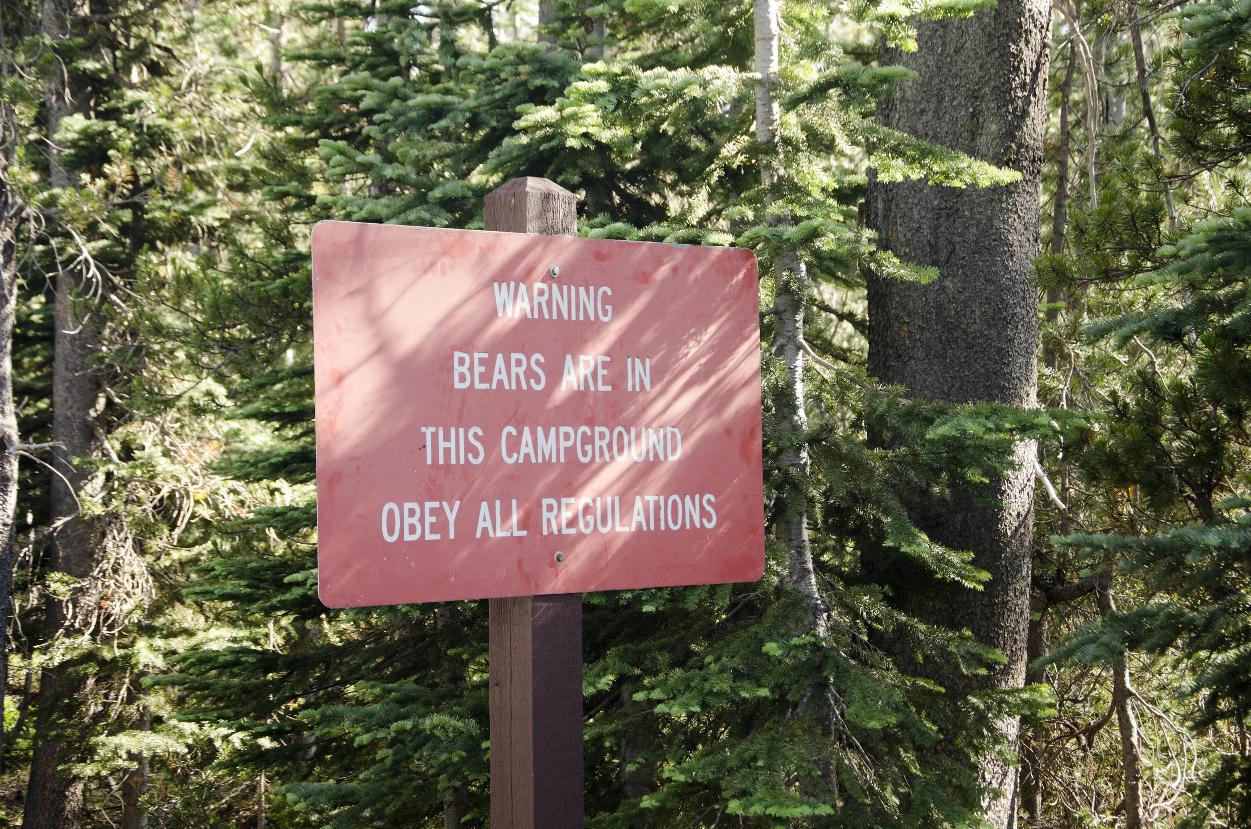 Day 24: 290 miles and 1 state