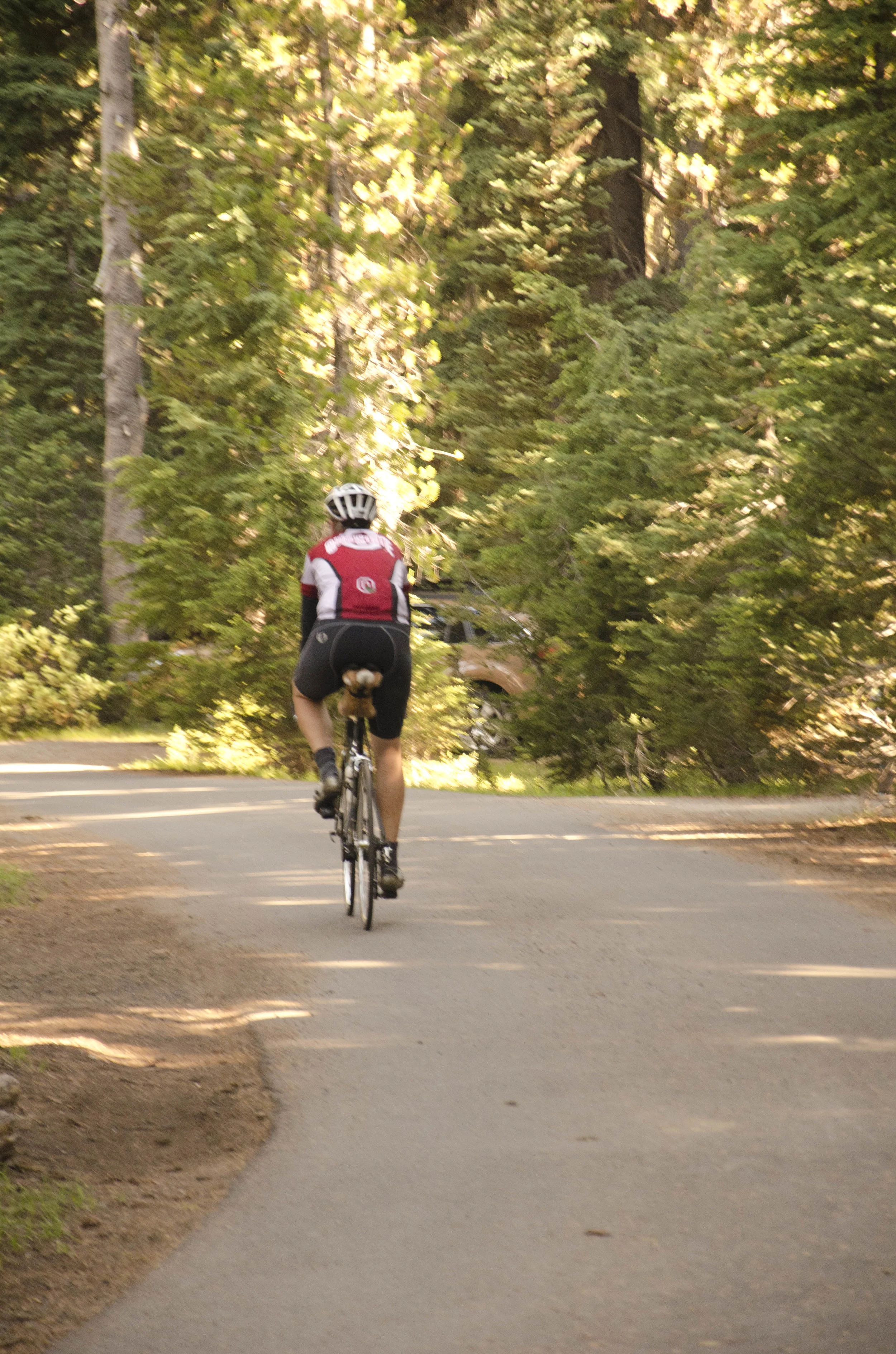 Day 24: 290 miles and 1 state