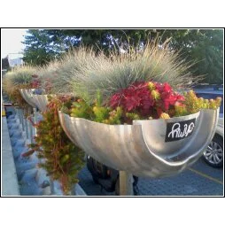 Day 24: 290 miles and 1 state