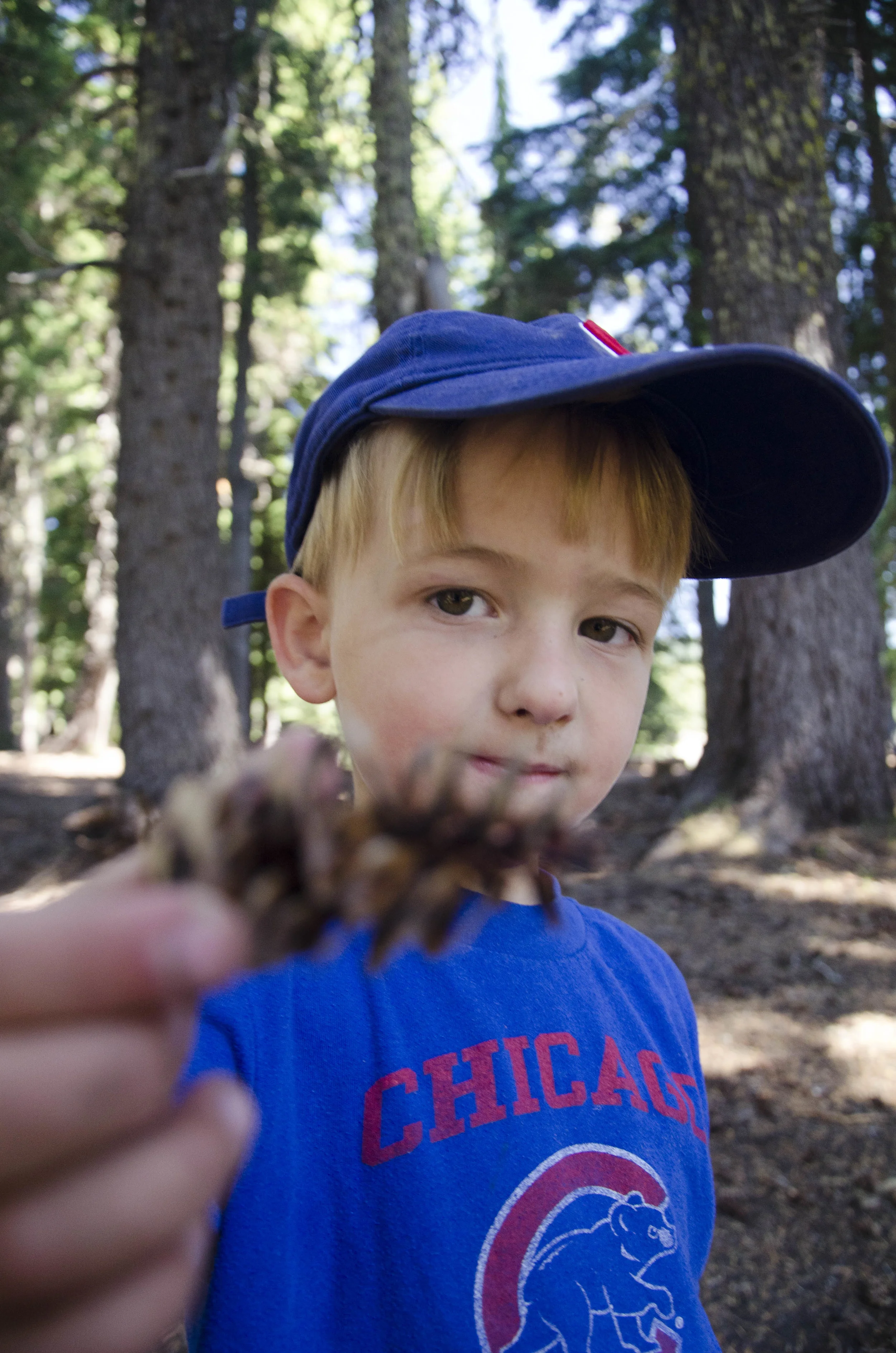 Day 23: A day of rest