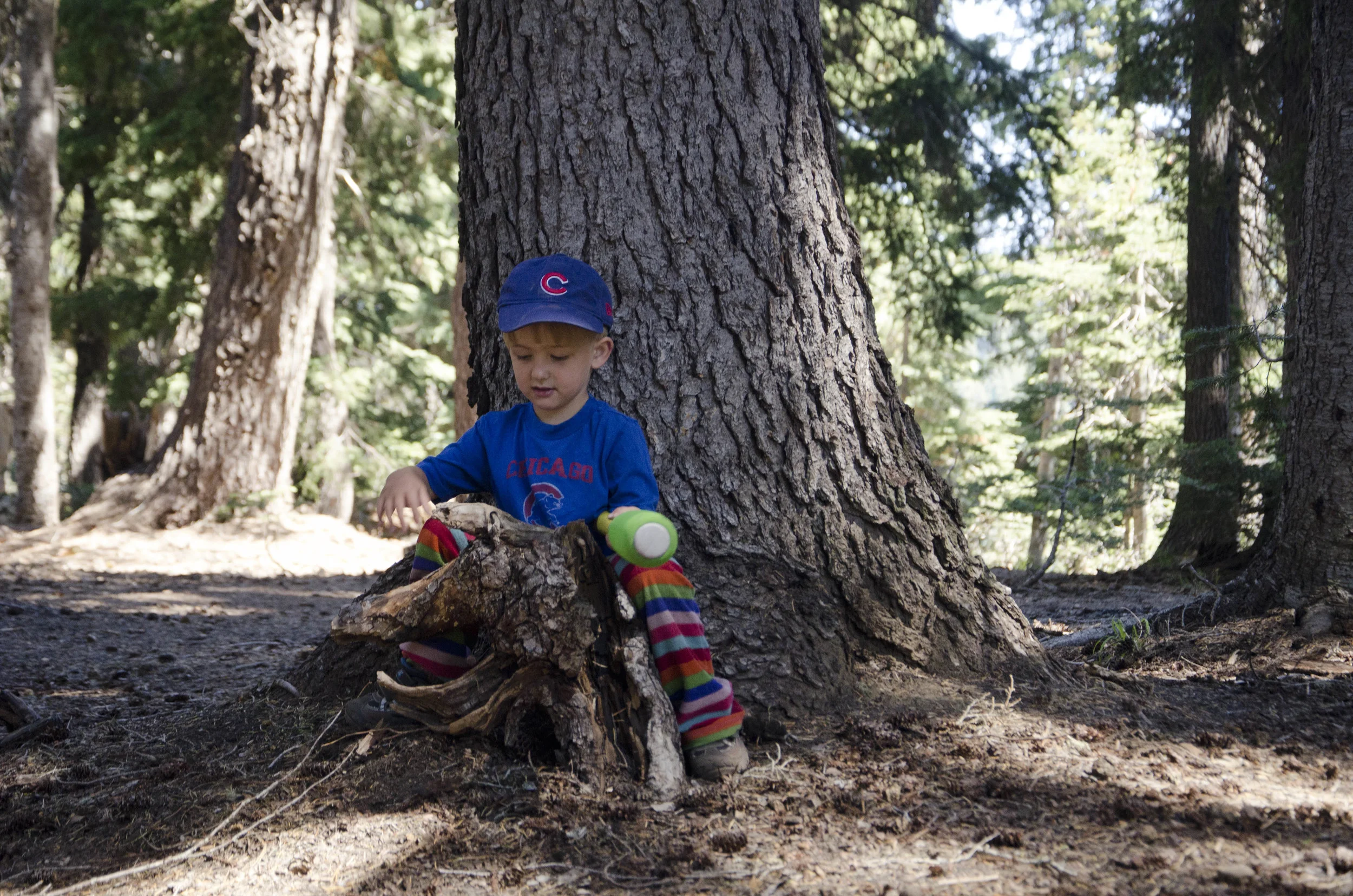 Day 23: A day of rest