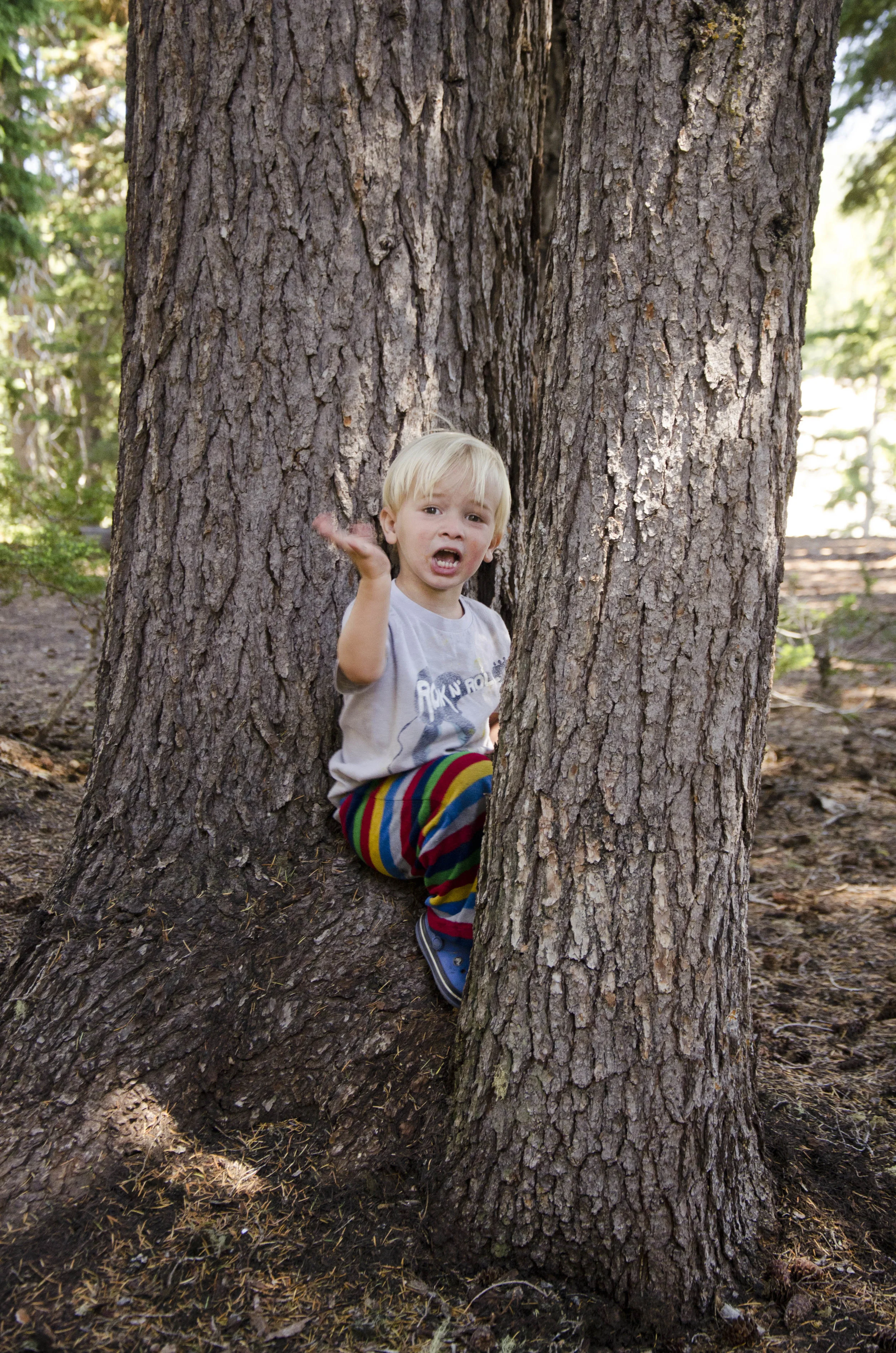 Day 23: A day of rest