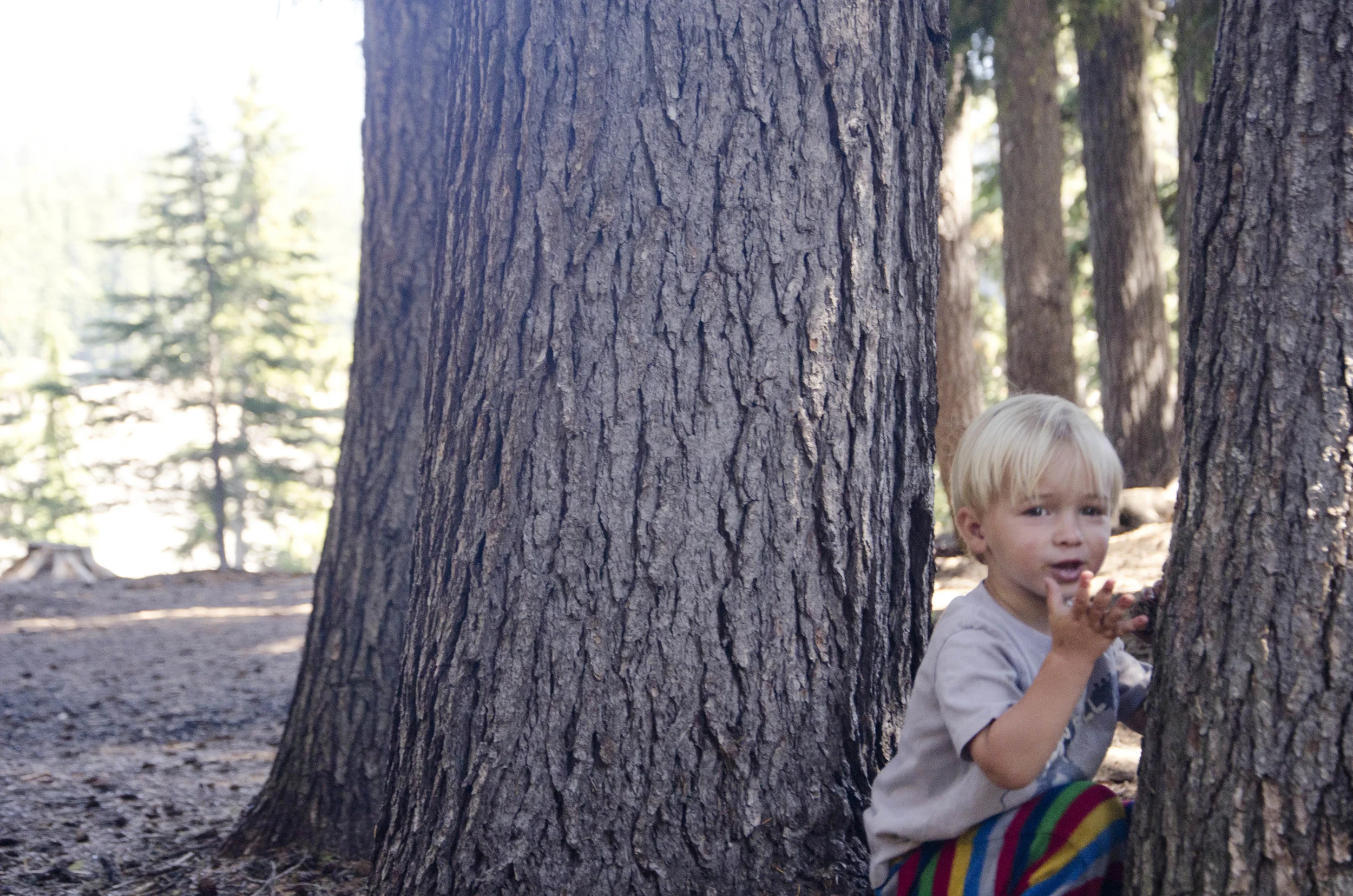 Day 23: A day of rest