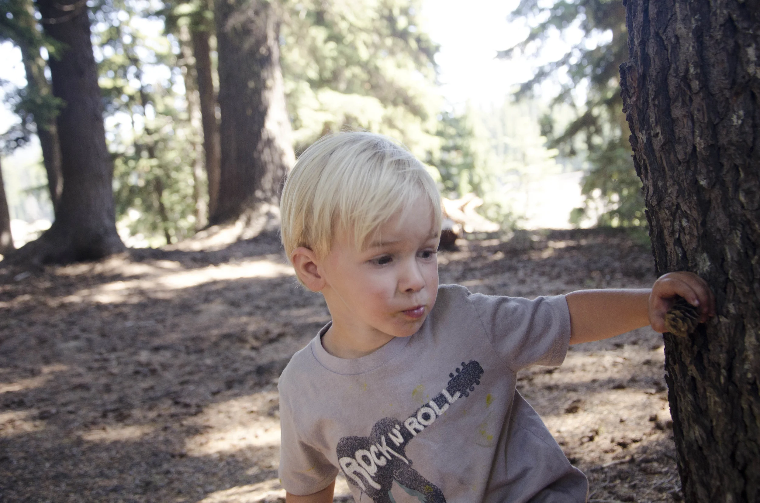 Day 23: A day of rest