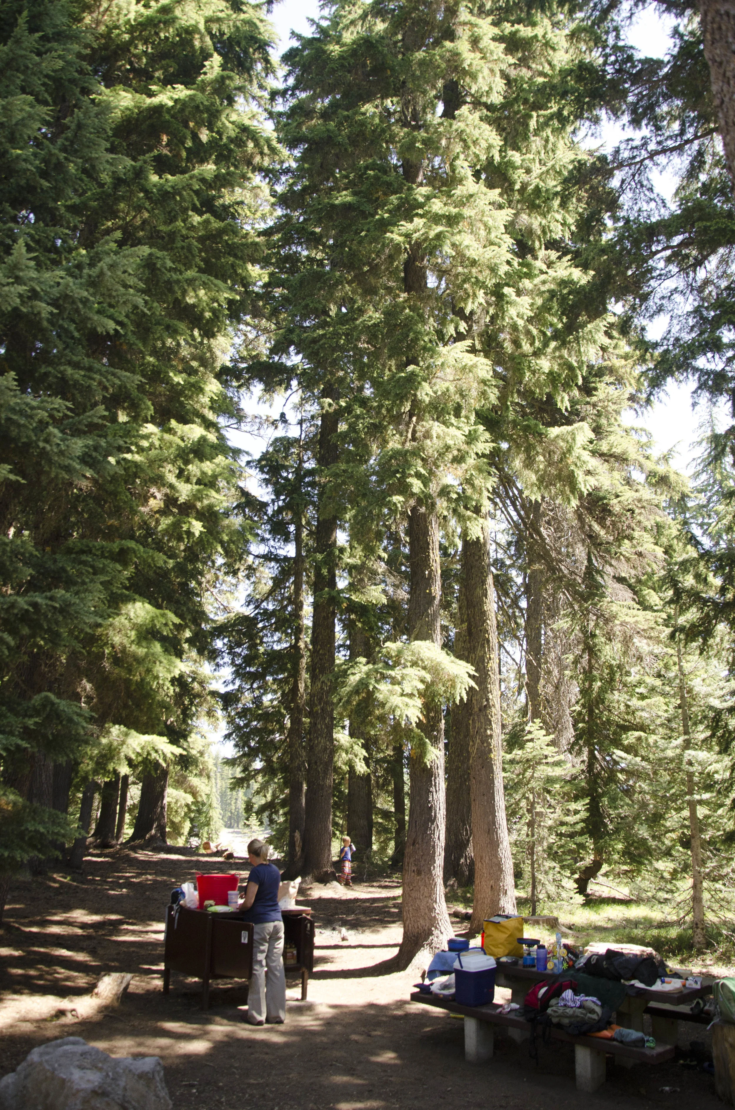 Day 23: A day of rest