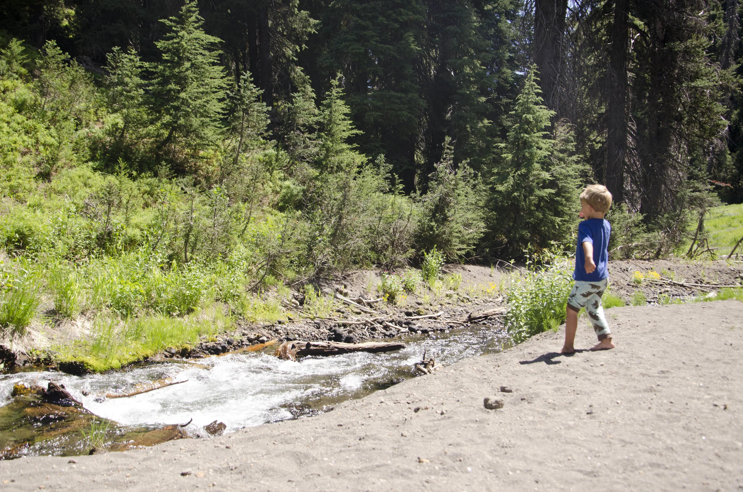 Day 23: A day of rest