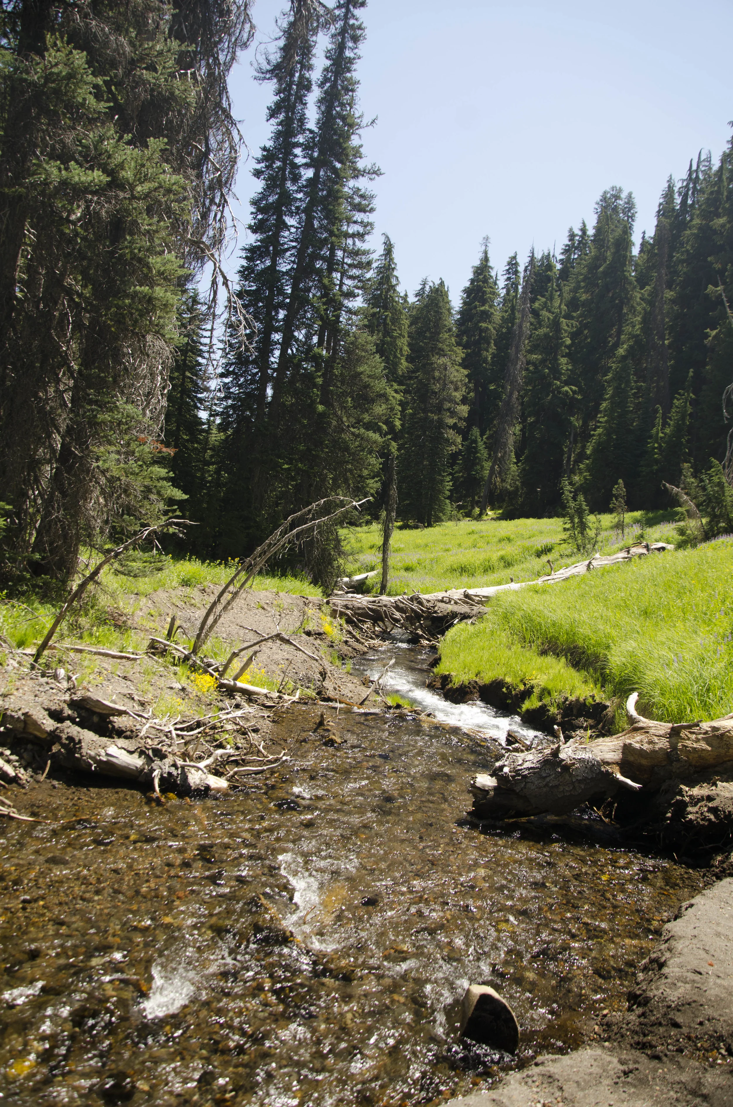 Day 23: A day of rest