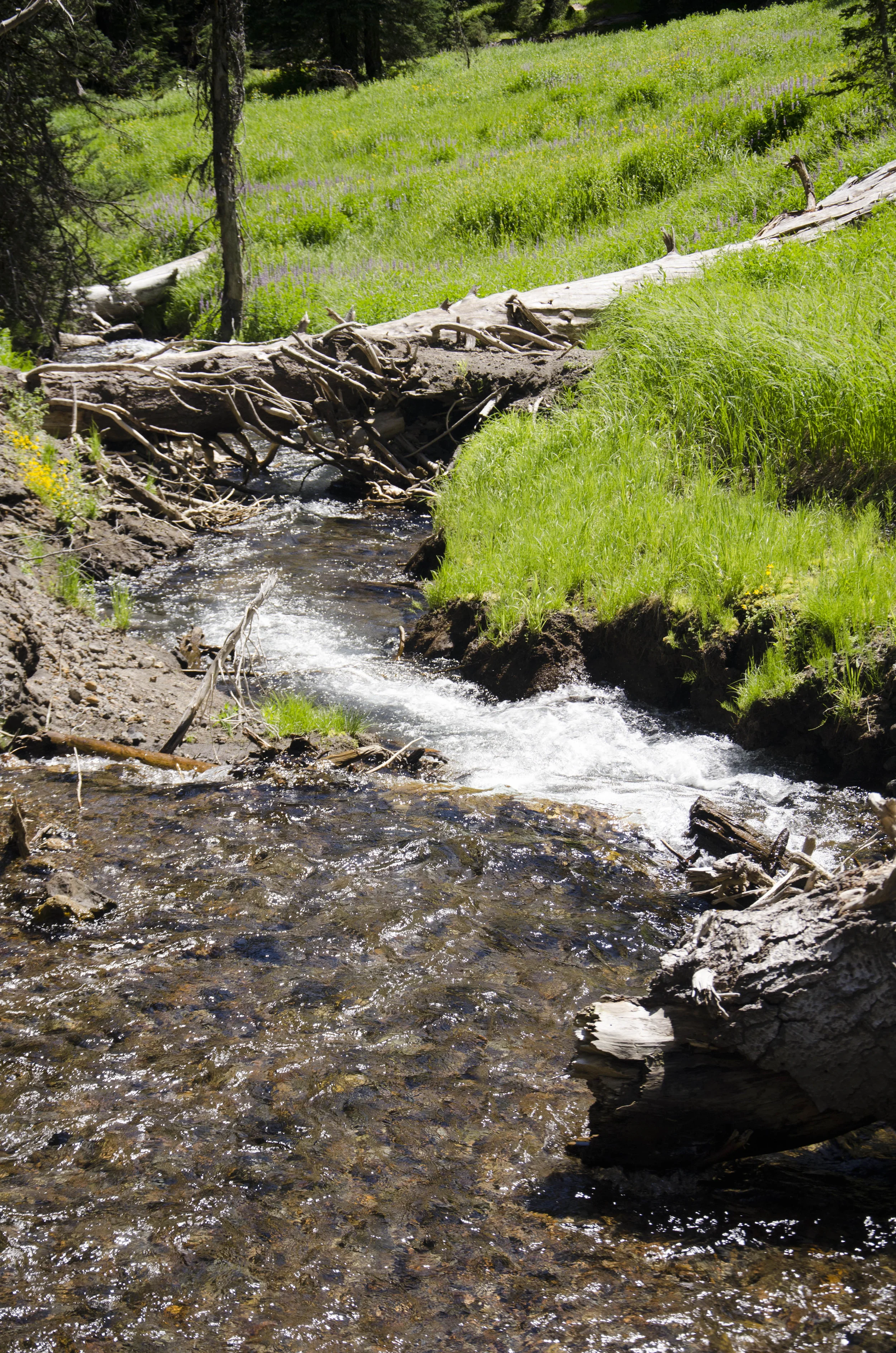 Day 23: A day of rest