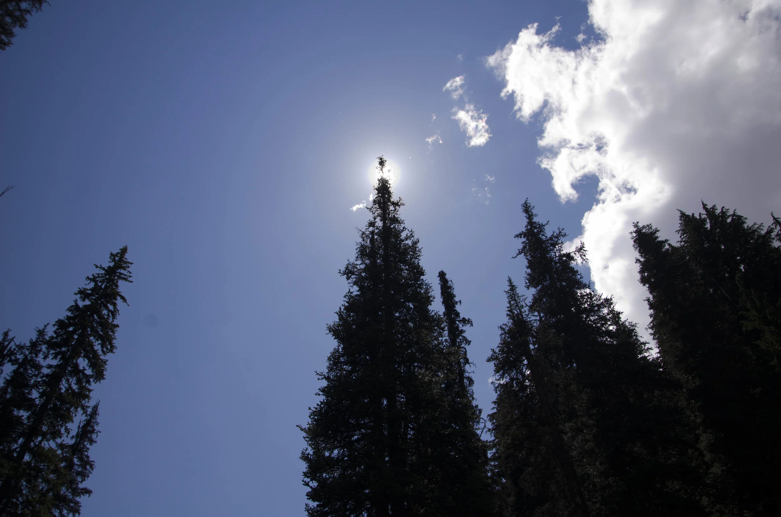 Day 23: A day of rest