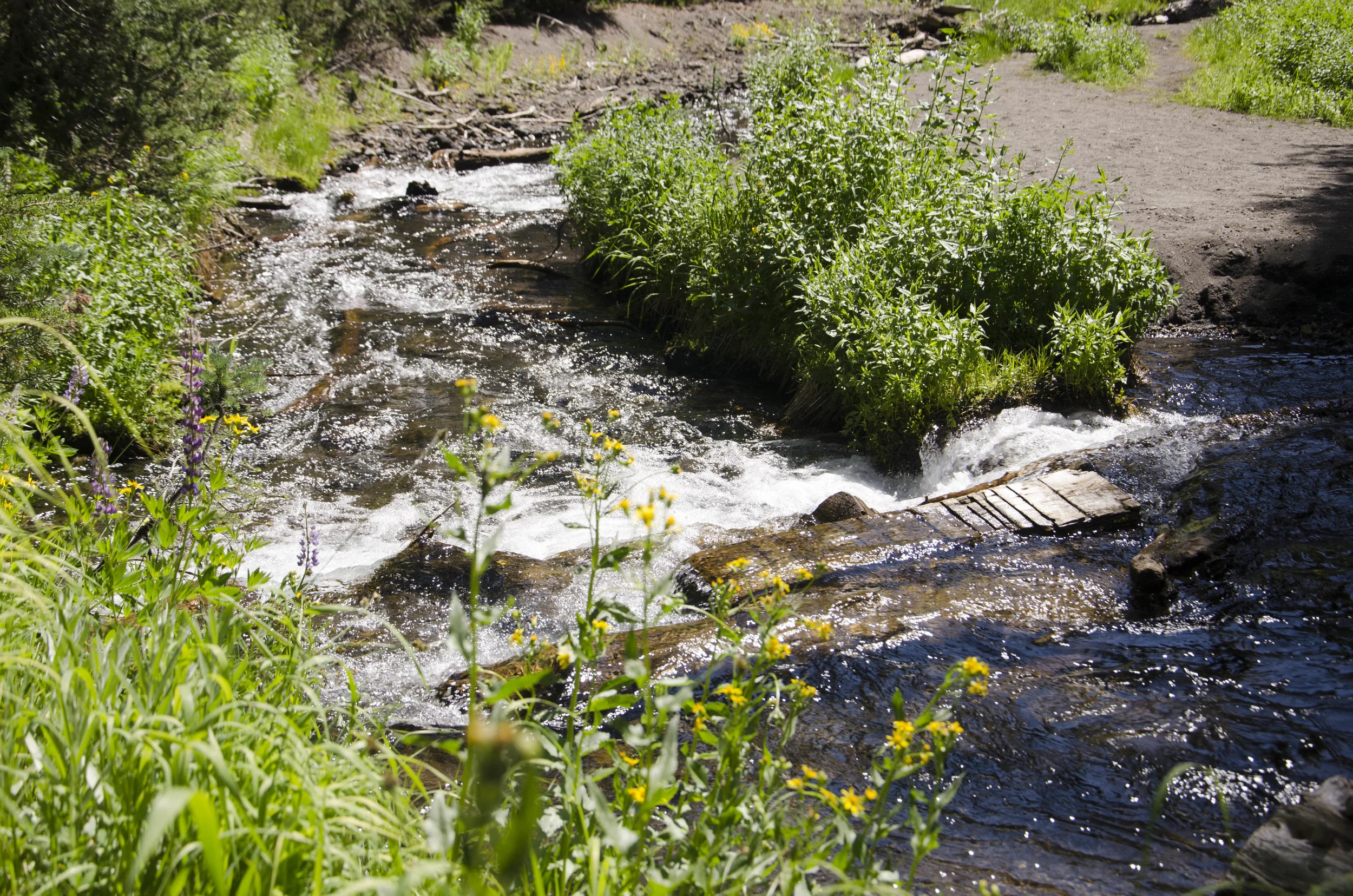 Day 23: A day of rest