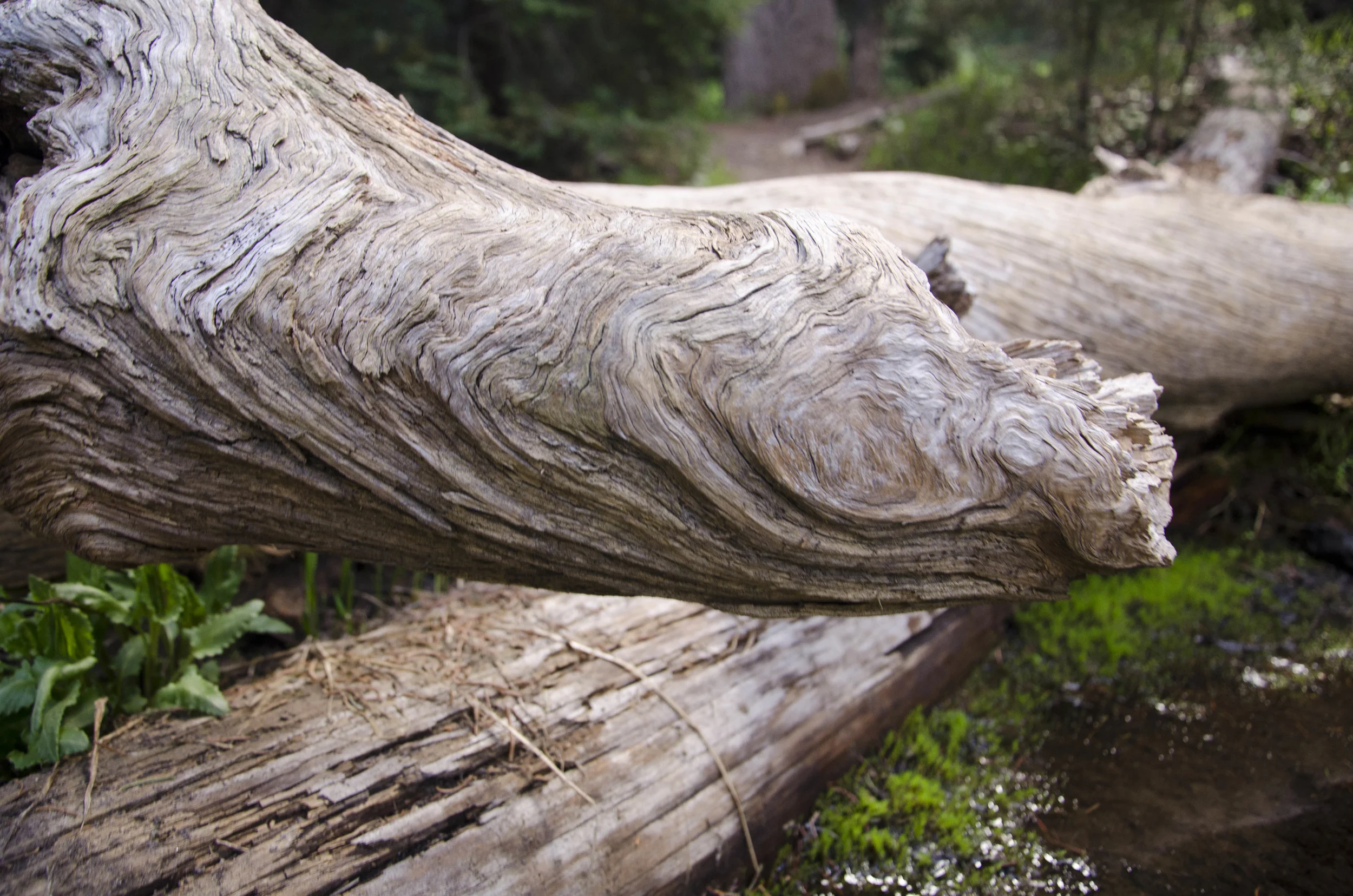 Day 23: A day of rest